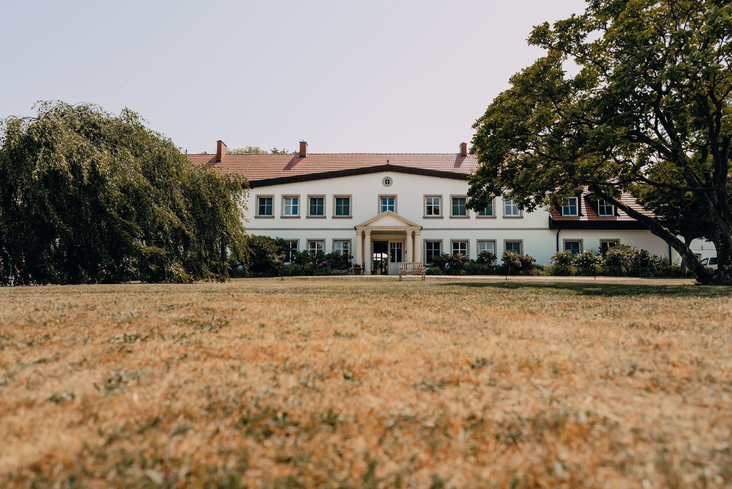 Large white manor house with willow trees and brown grass in the foreground.