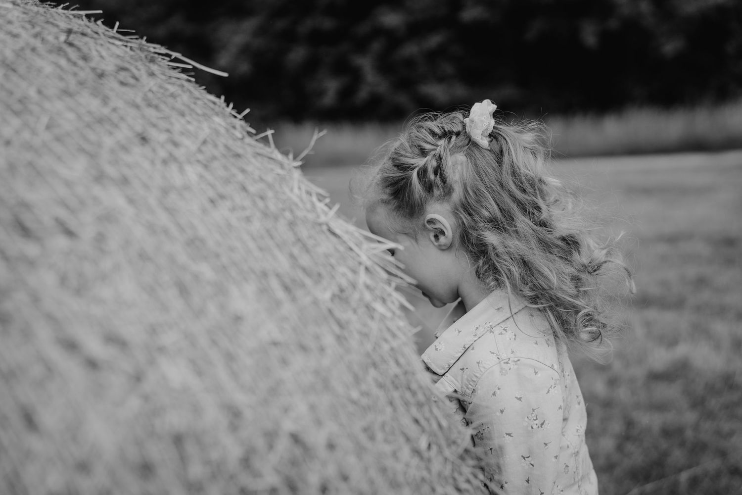 Black and white photo showing interaction with a large hay bale in a field.