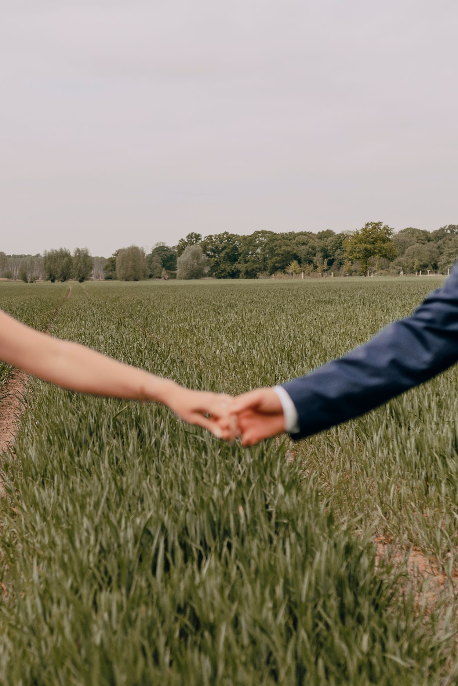 Two hands reaching towards each other across a green wheat field in a romantic gesture.