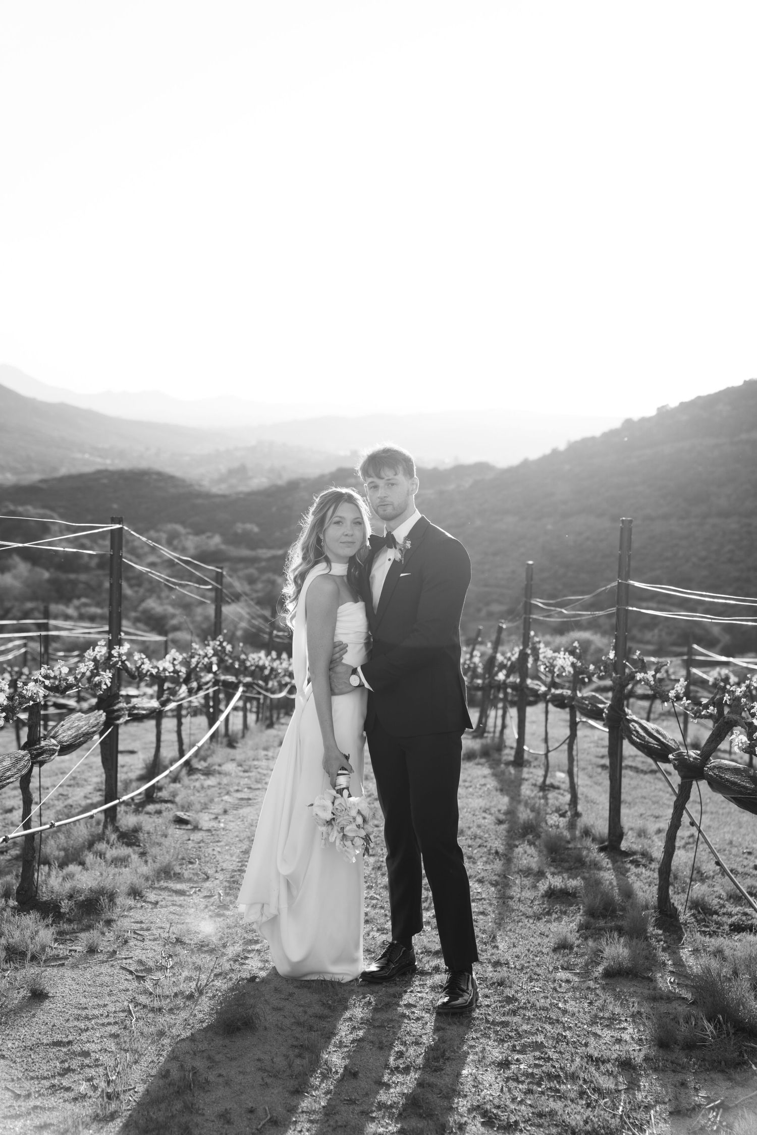 bride and groom in california vineyard