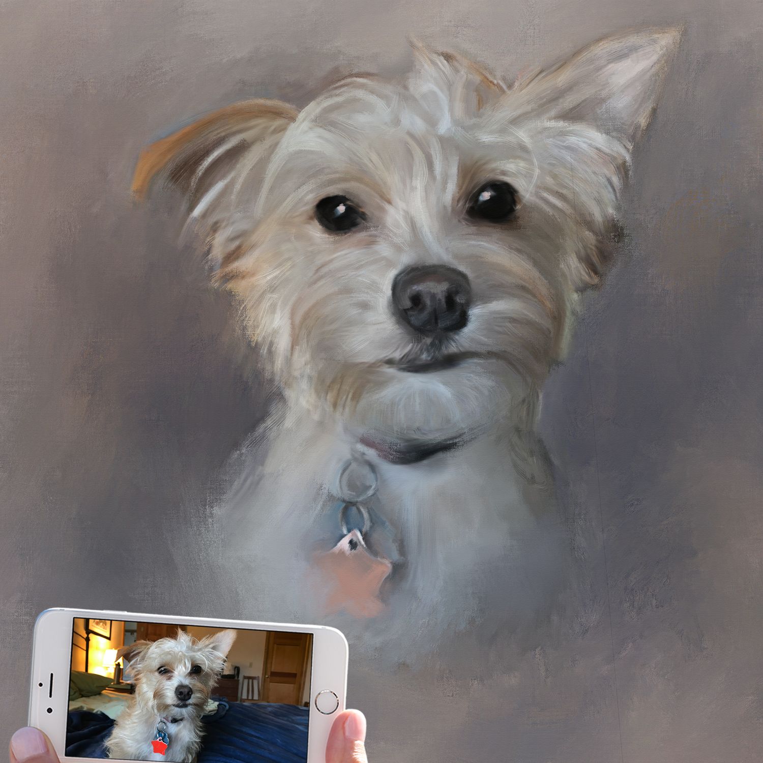 Before and after view of a pet portrait painting of small white chizer named Teddy, part chihuahua and part schnauzer.