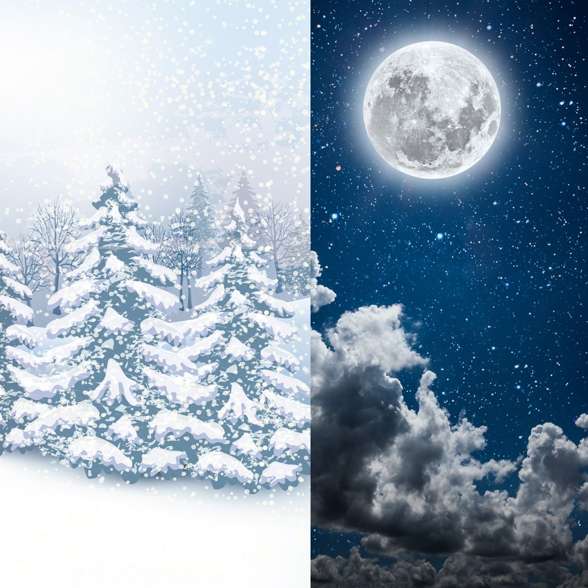 Images depicting a snowy winter forest with a bright full moon in a starlit night sky, used as source photos for a custom commission.
