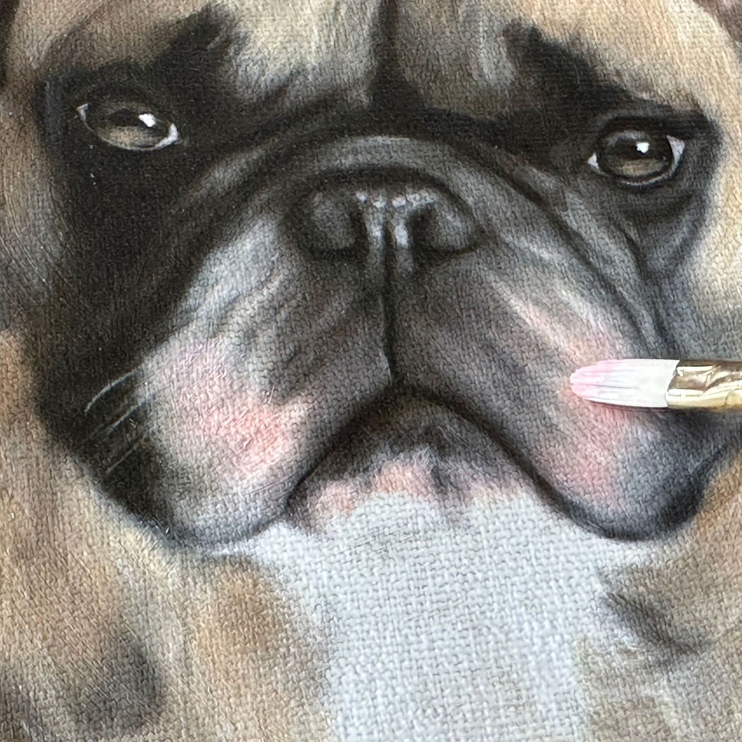 Close up of a pet portrait commission of a French Bulldogs by artist Bobbie Bush
