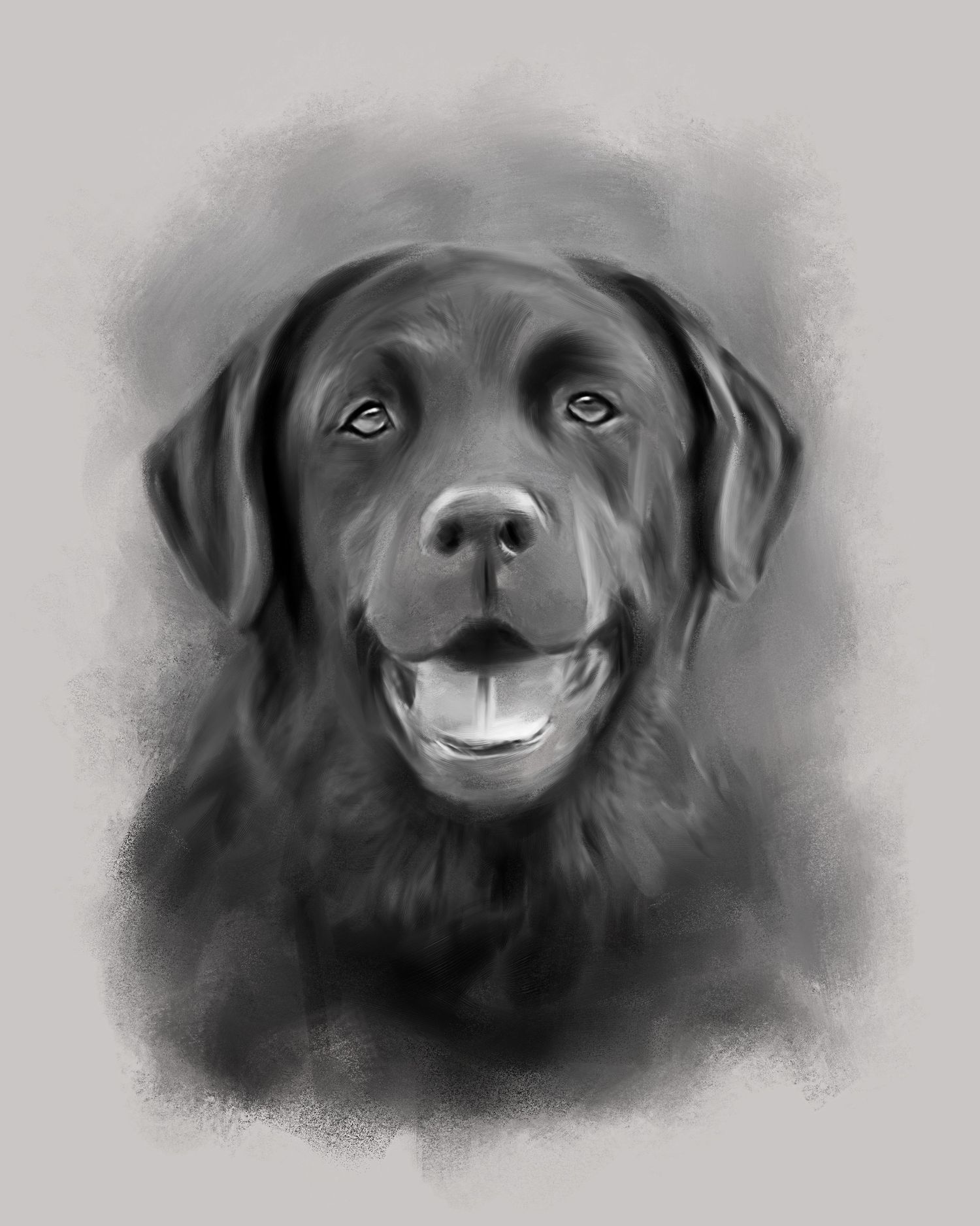 Black & white charcoal style sketch of a Black Labrador's face shown with a gentle smile.