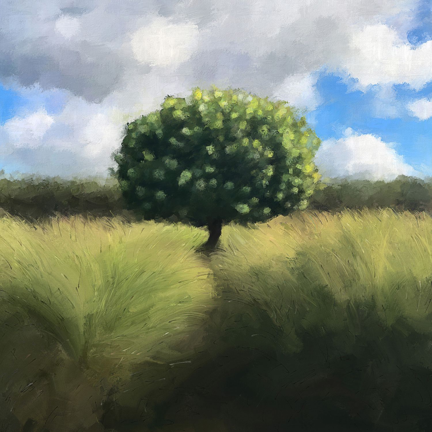 Lone tree with full green canopy stands in golden grass field under cloudy sky. Landscape painting by Bobbie Bush.