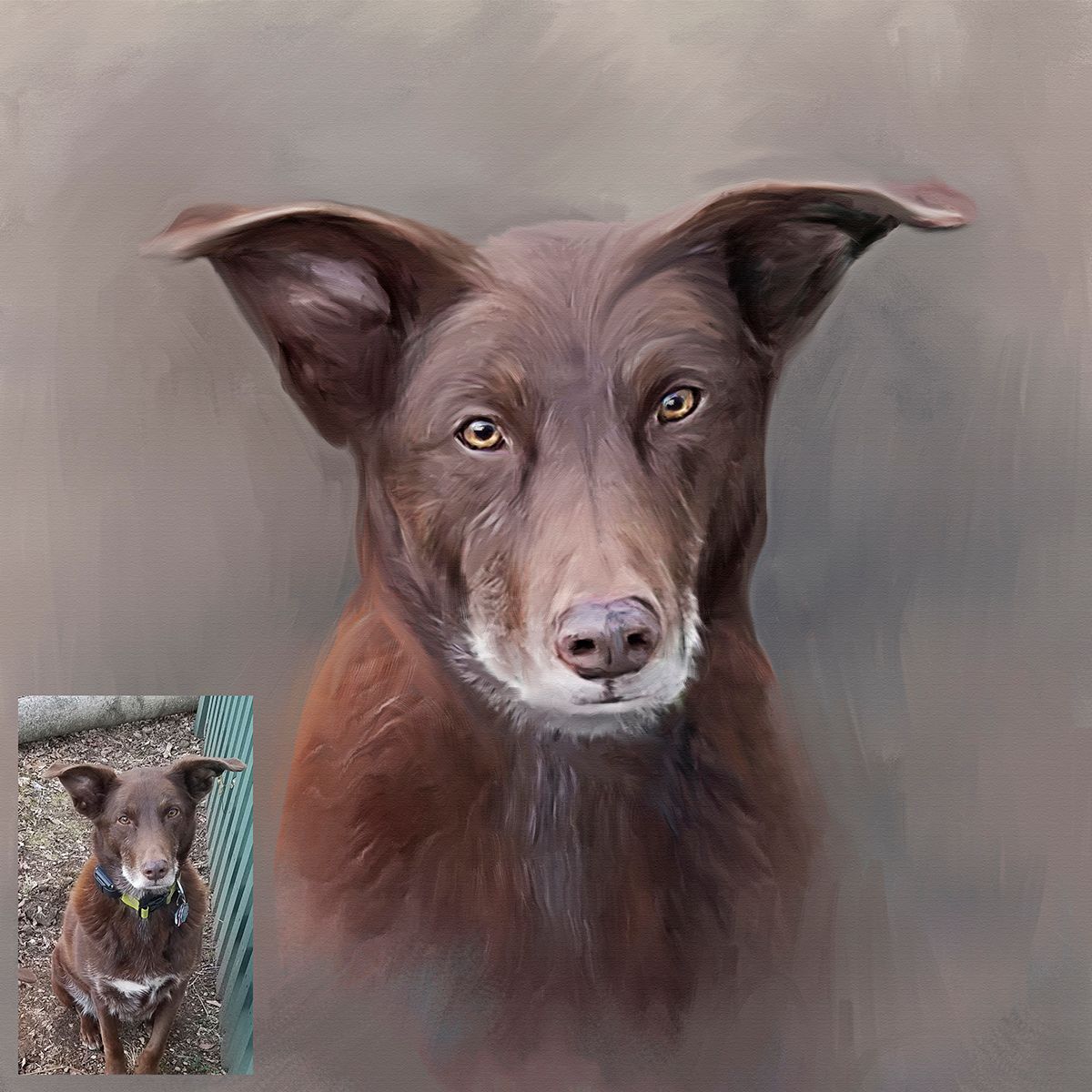 Before and after pet portrait painting of a brown dog with expressive eyes.