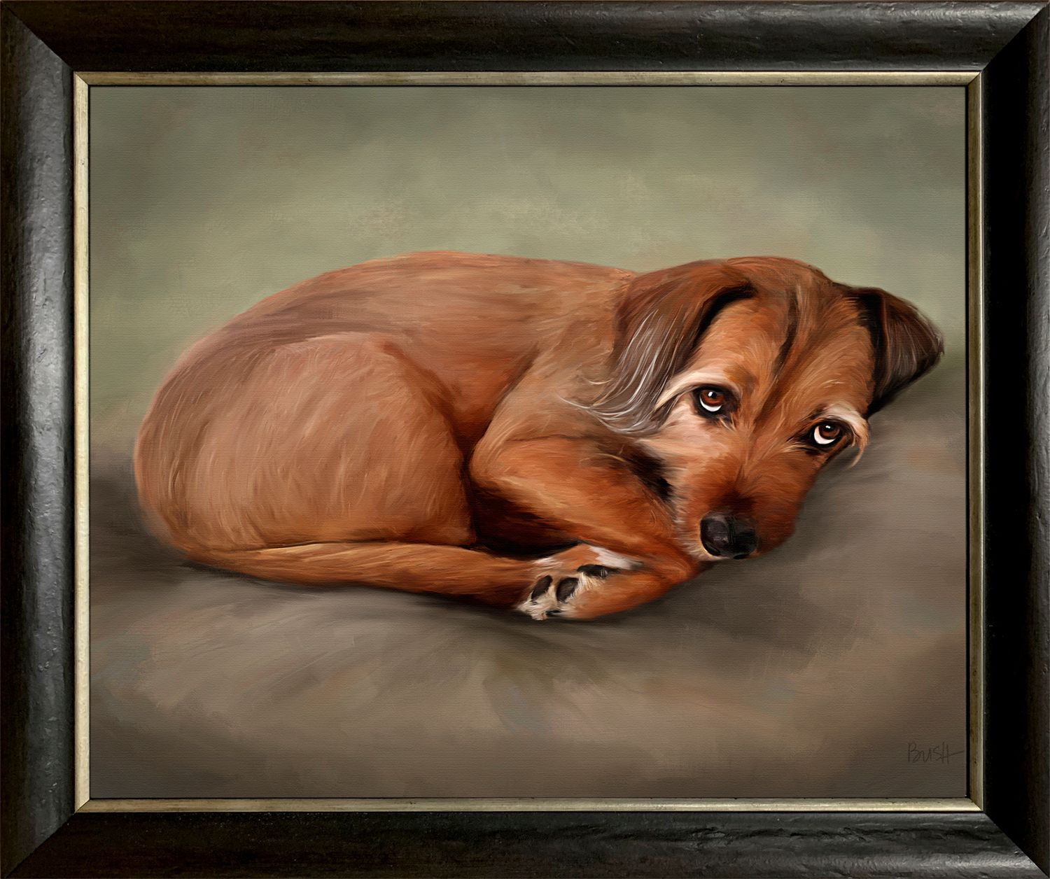 Framed pet portrait painting of a reddish-brown dog with long luscious eye brows, curled up in her favorite spot.