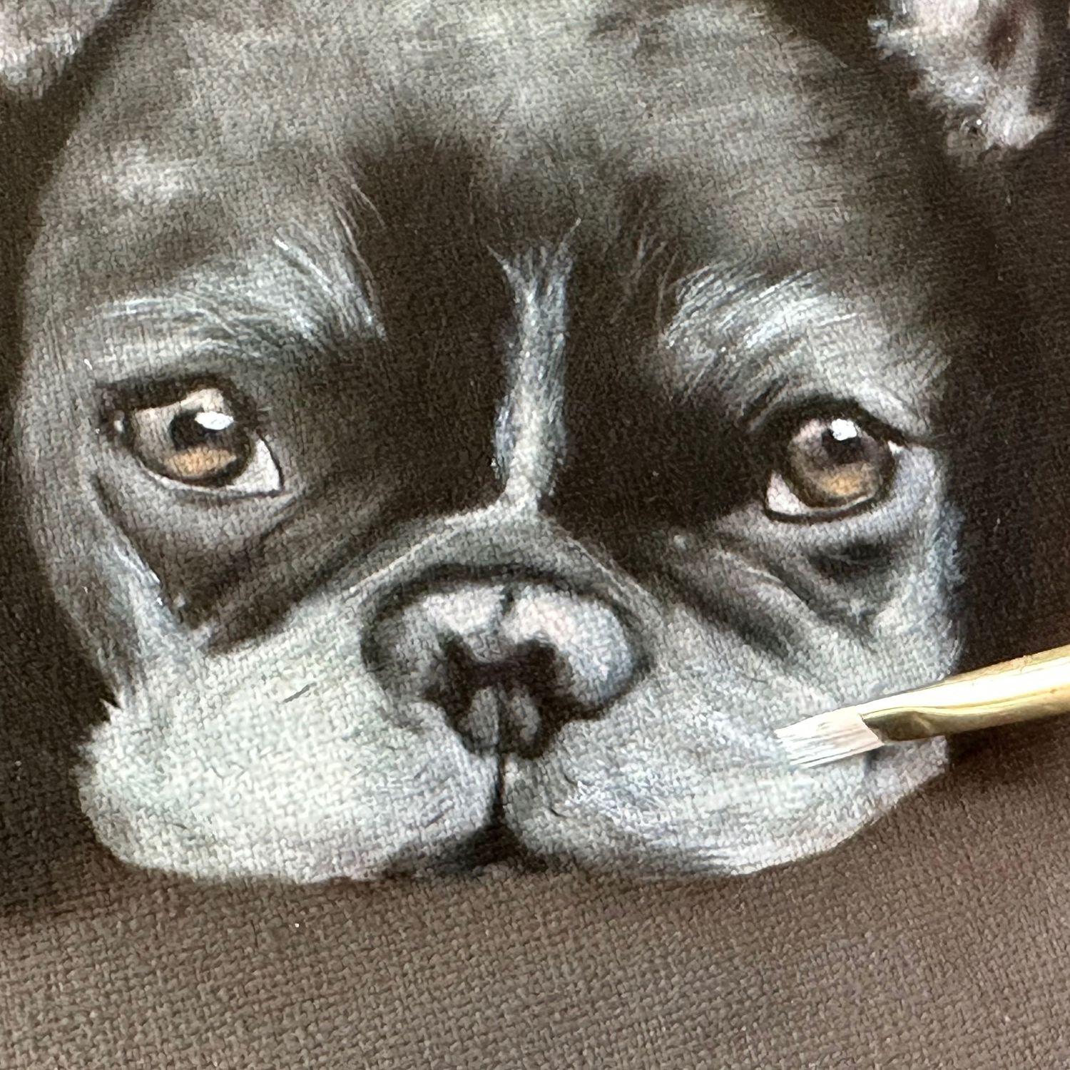 Close up of a pet portrait commission of a French Bulldogs by artist Bobbie Bush