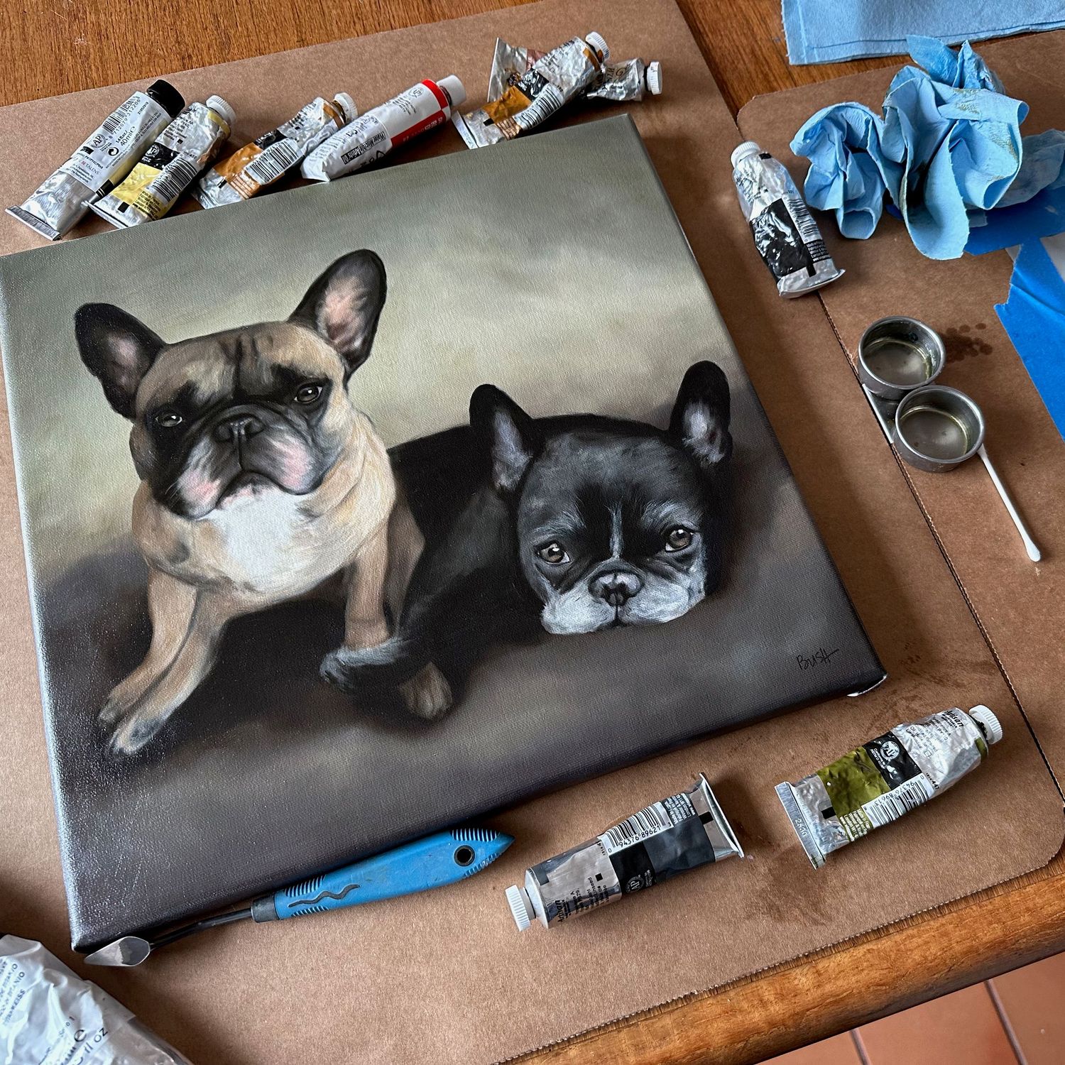 Work in progress of a pet portrait commission of two French Bulldogs by artist Bobbie Bush