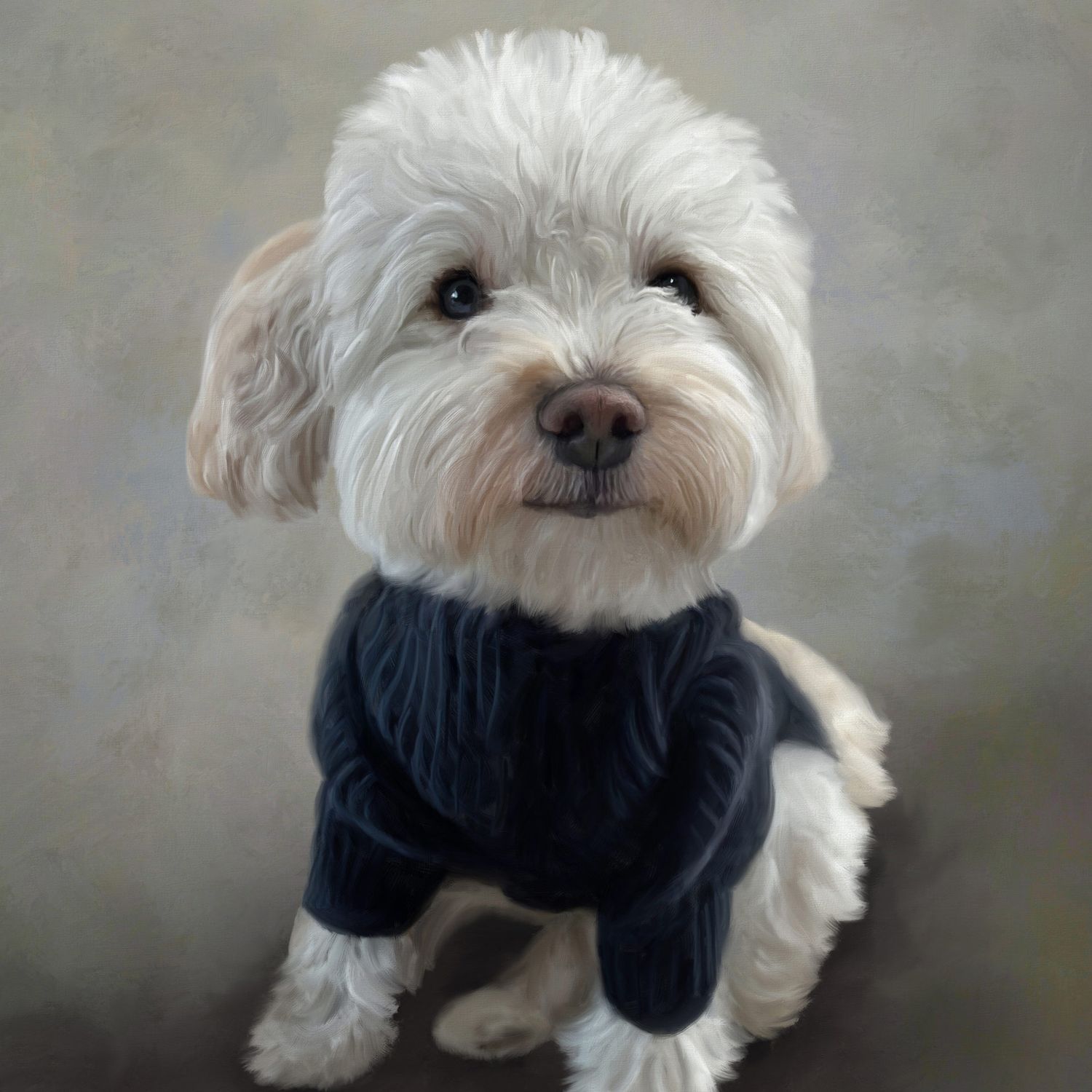 Small white Maltese dog wearing a navy blue sweater photographed in different poses against a neutral background.