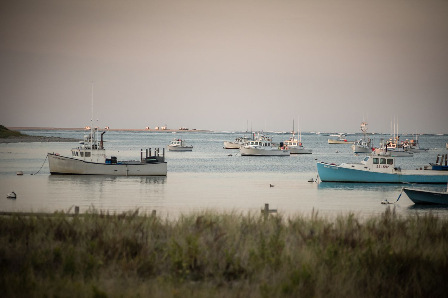 Moored boats dotting a misty harbor with tall grass in the foreground. The view from a couple's wedding venue.