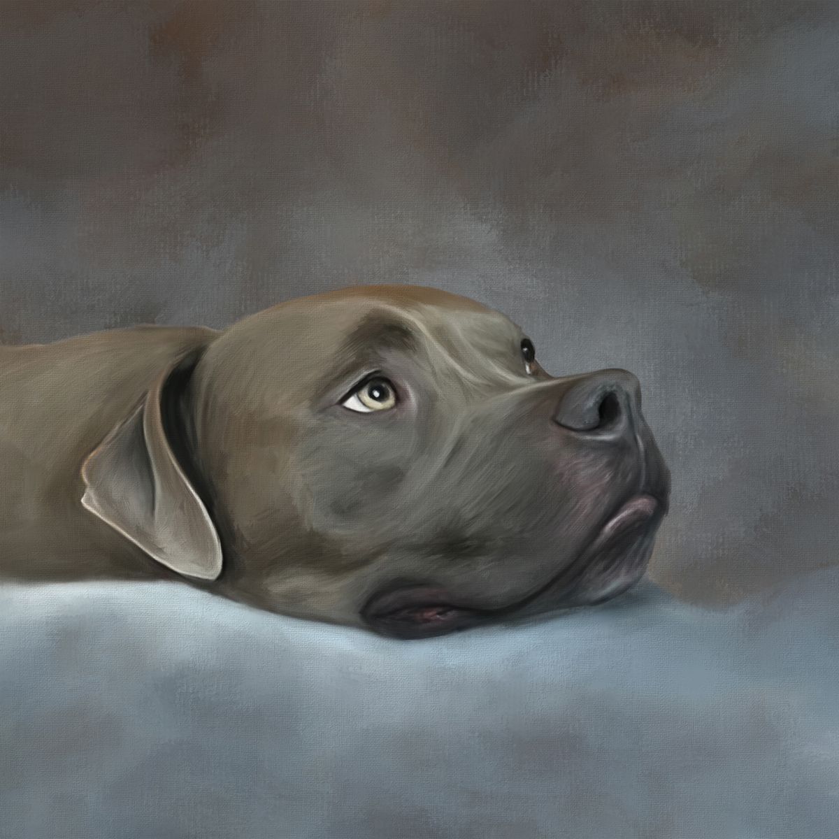 A handsome pet portrait commission of a gray mastiff-type dog in profile as he rests his head on the owner's lap.