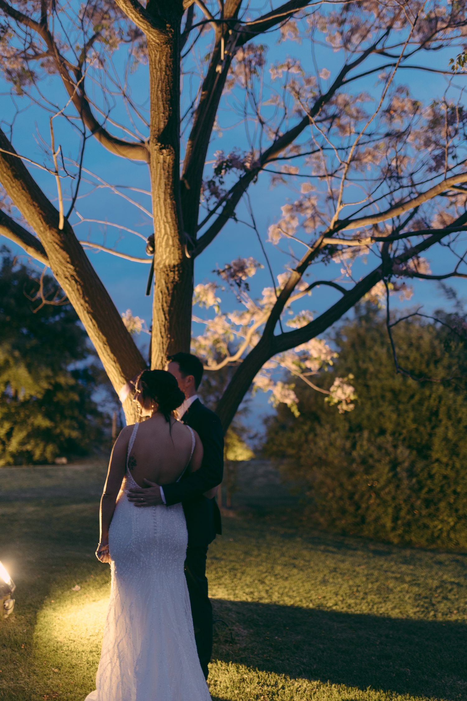 Bride and groom standing together under a bare tree illuminated by warm lights at twilight.