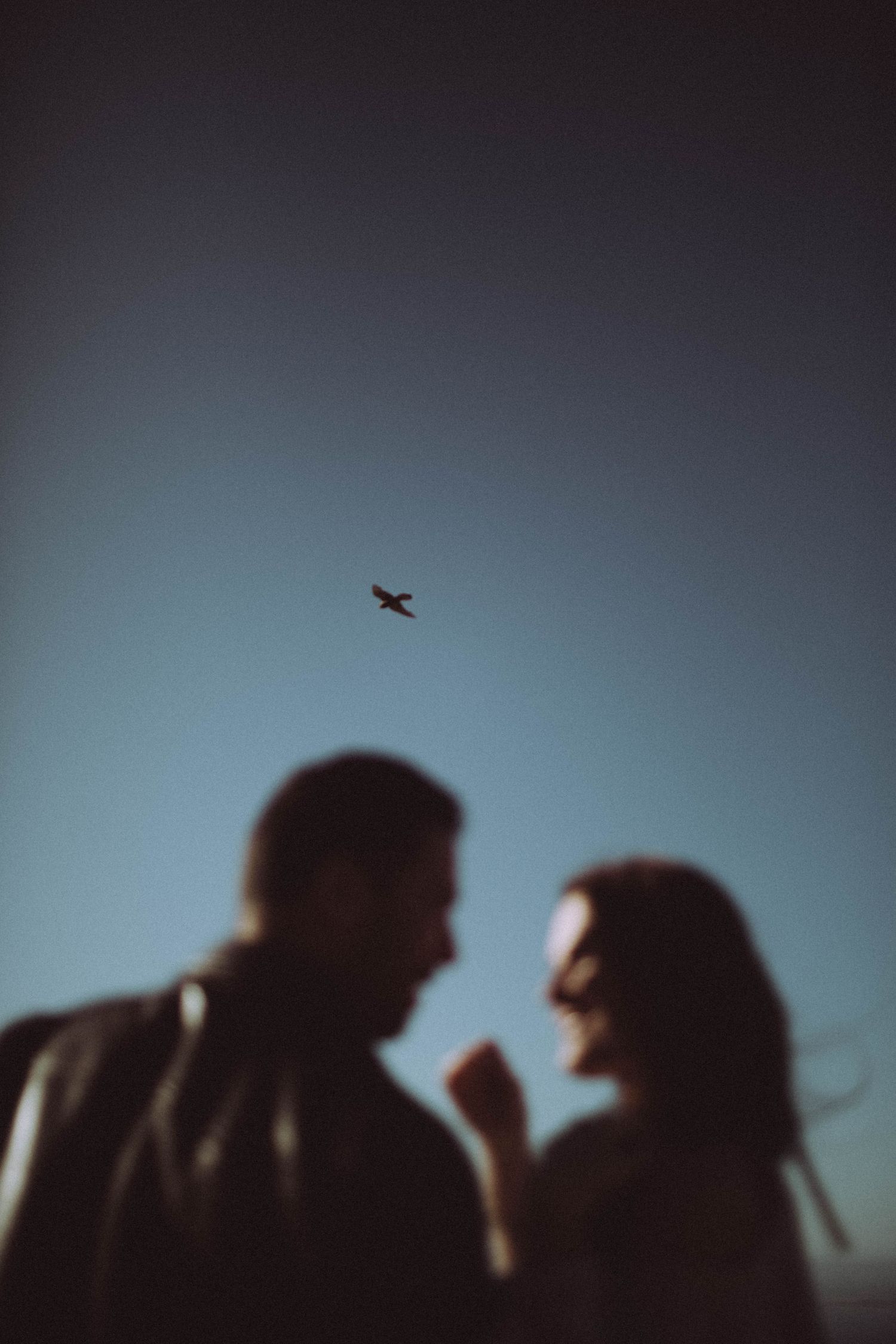 Silhouette of couple facing each other with bird flying in blue dusk sky.