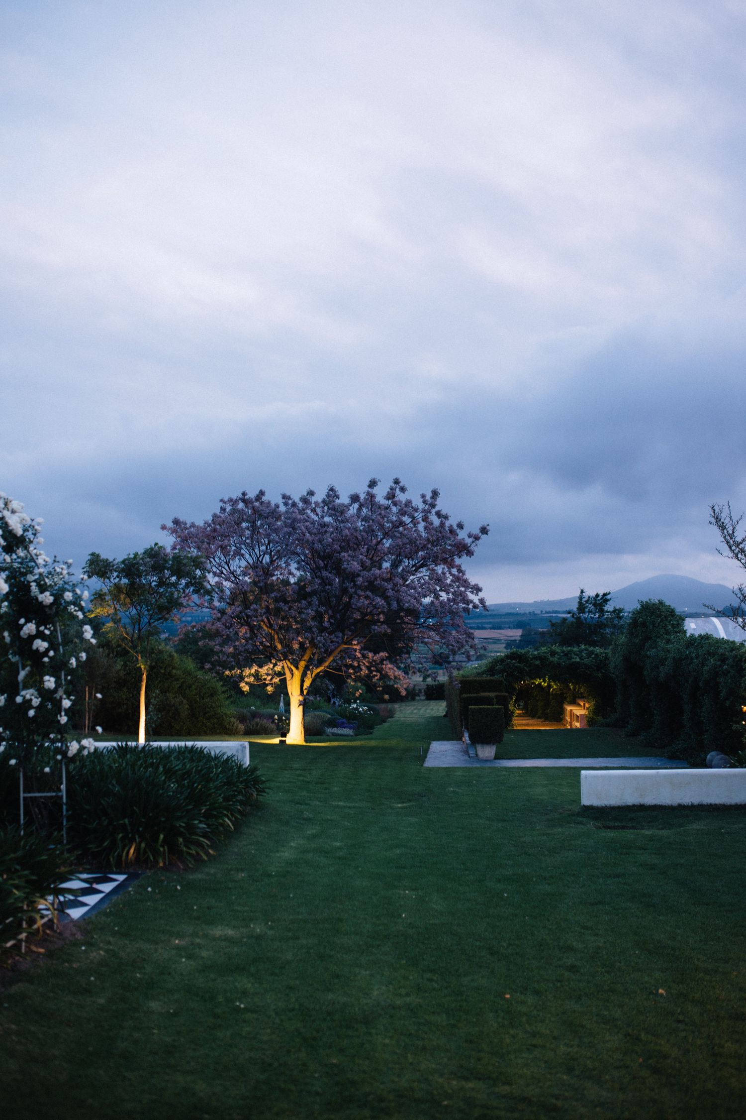 Elegant wedding venue garden at dusk featuring illuminated trees and manicured lawns under cloudy sky.