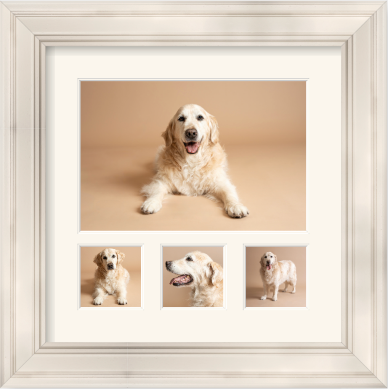Professional pet photography studio collage showing multiple angles of a happy white dog against warm beige background.