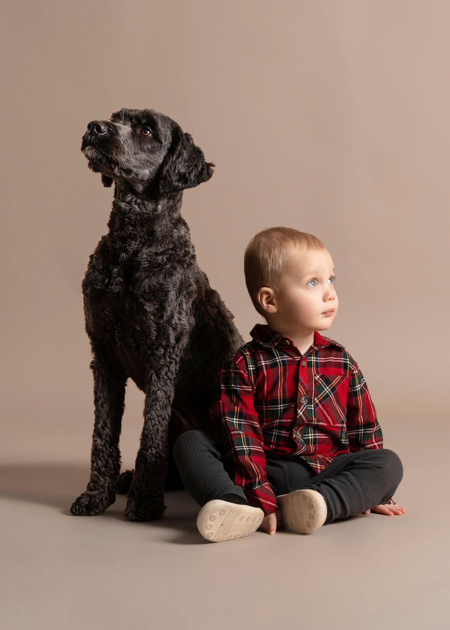 A child in a red plaid shirt sits next to a black dog in a series of studio portraits against a beige backdrop.