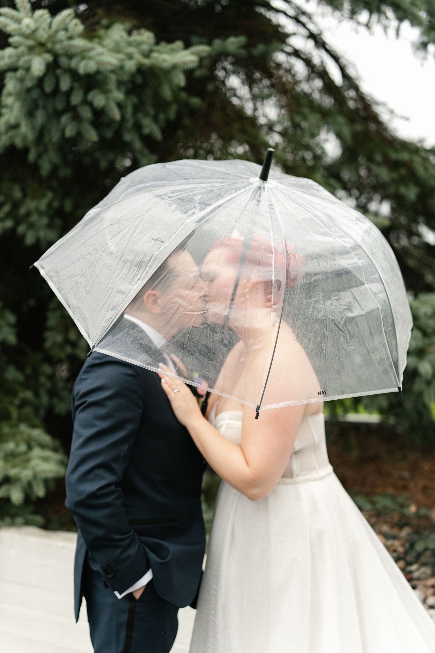 Couple shares an intimate moment under a clear umbrella surrounded by evergreen trees.