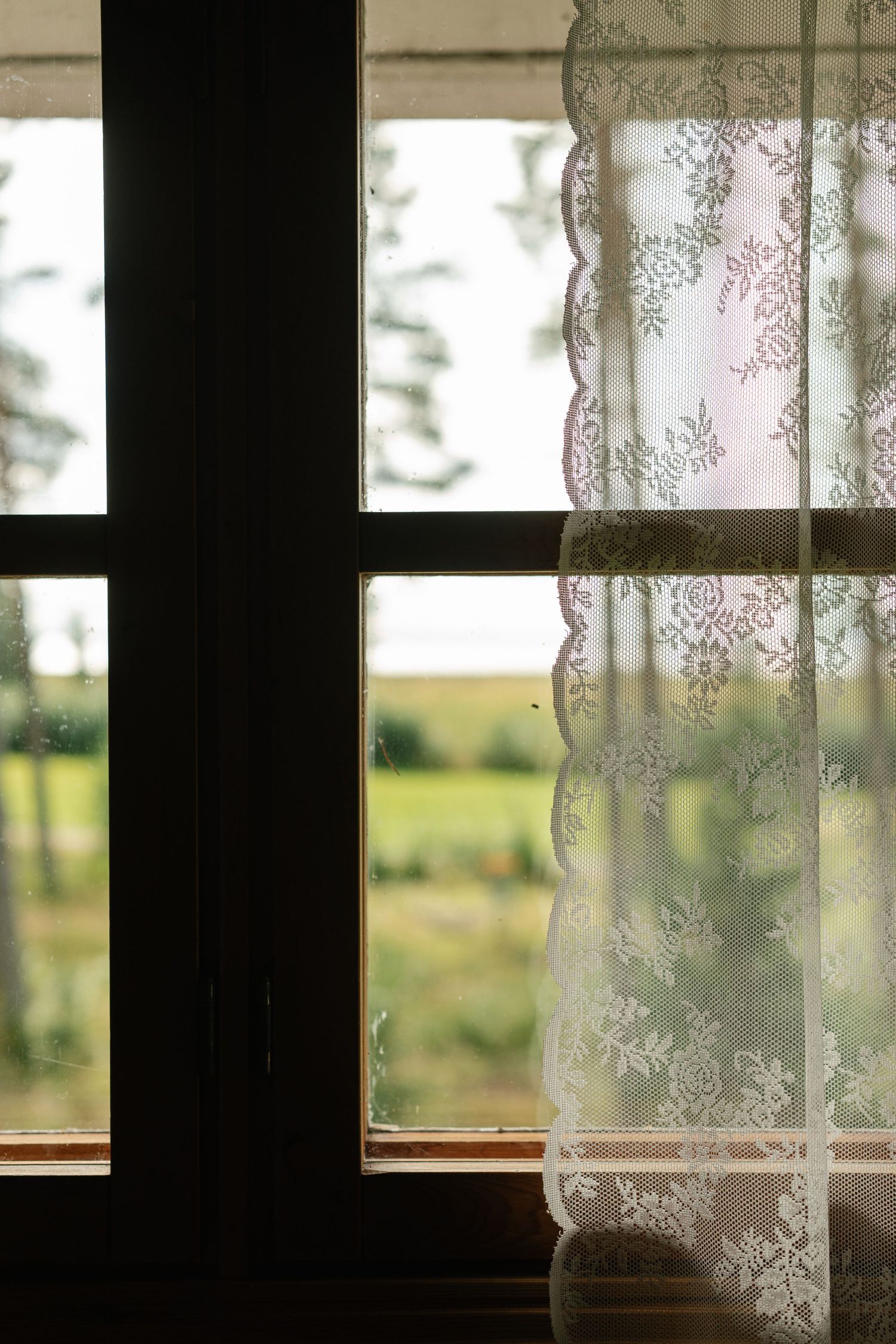 Delicate lace curtains frame a bright window with a pastoral countryside view.