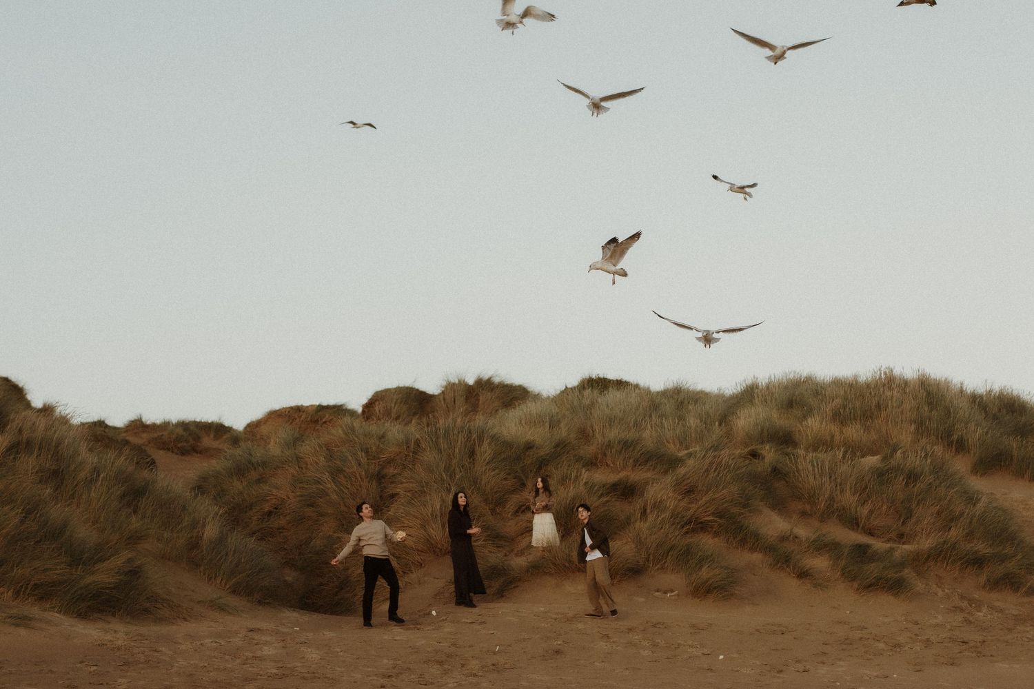a family feeding the seagulls on the beach