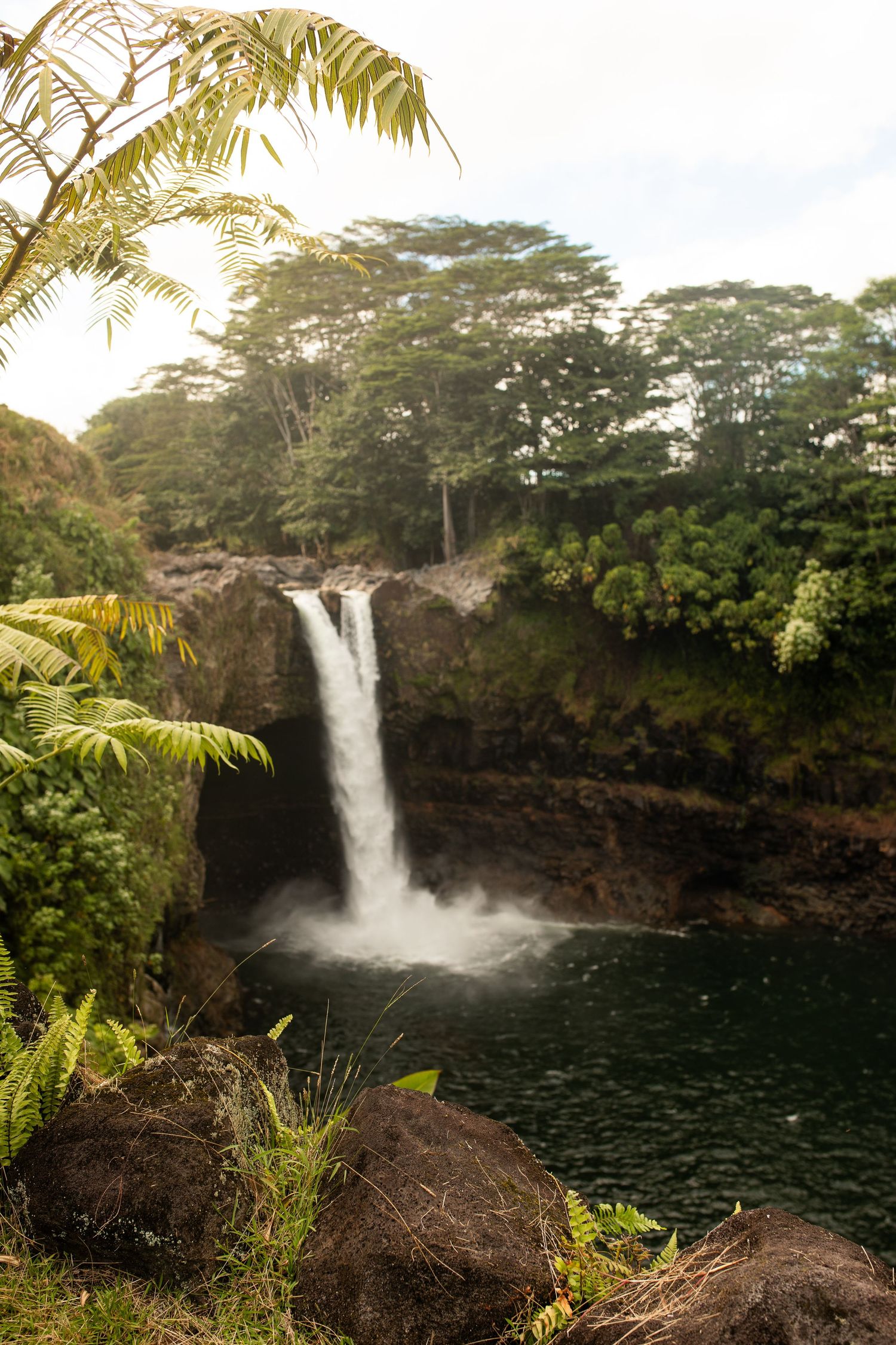 Large waterfall cascading over rocky cliffs into dark pool surrounded by lush tropical vegetation and palm trees in Hawaii.