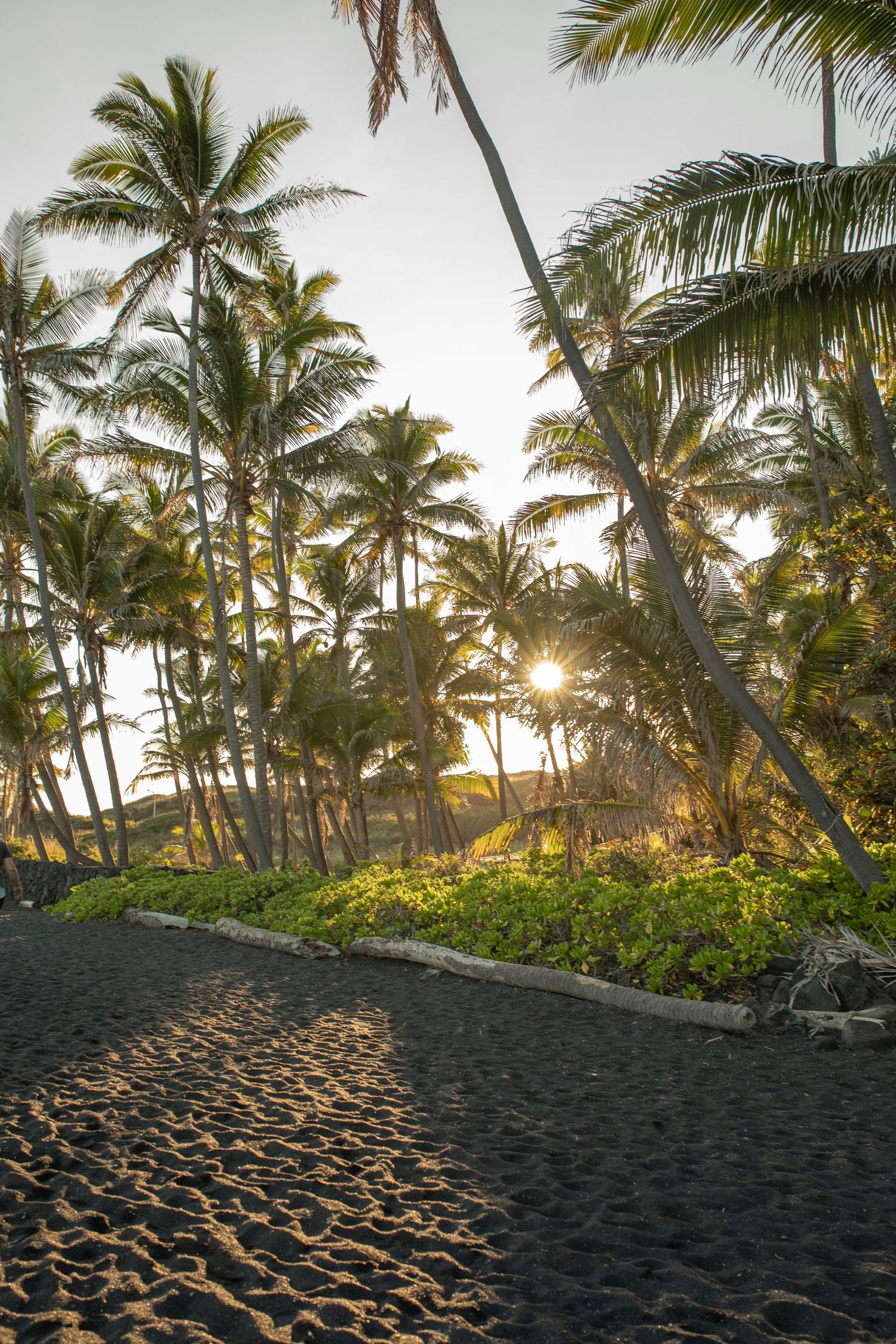 Palm trees line a black sand beach with footprints during golden sunset in Hawaii.