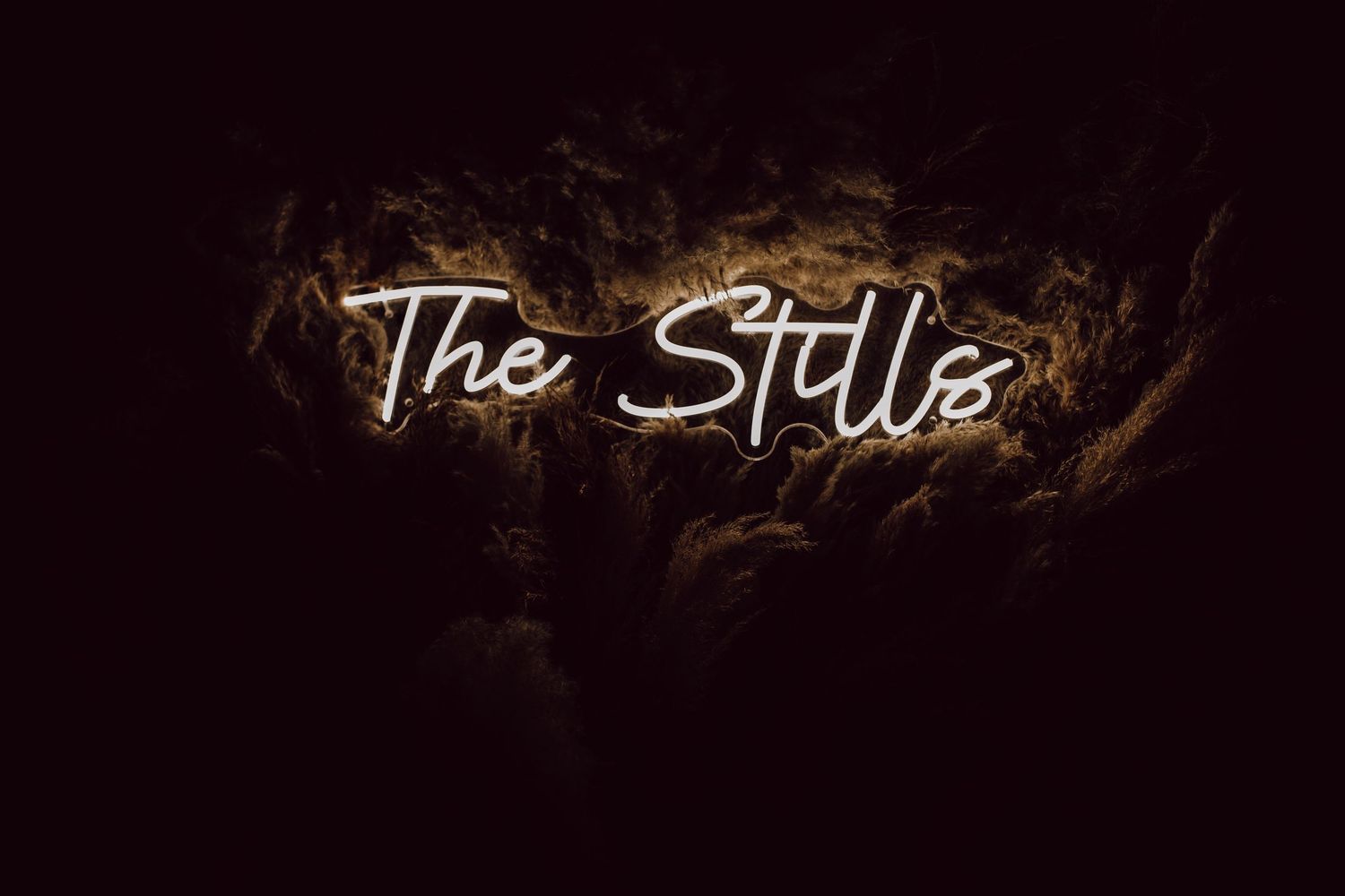 Glowing neon text displaying 'The Stills' against a dark background with smoky effects.