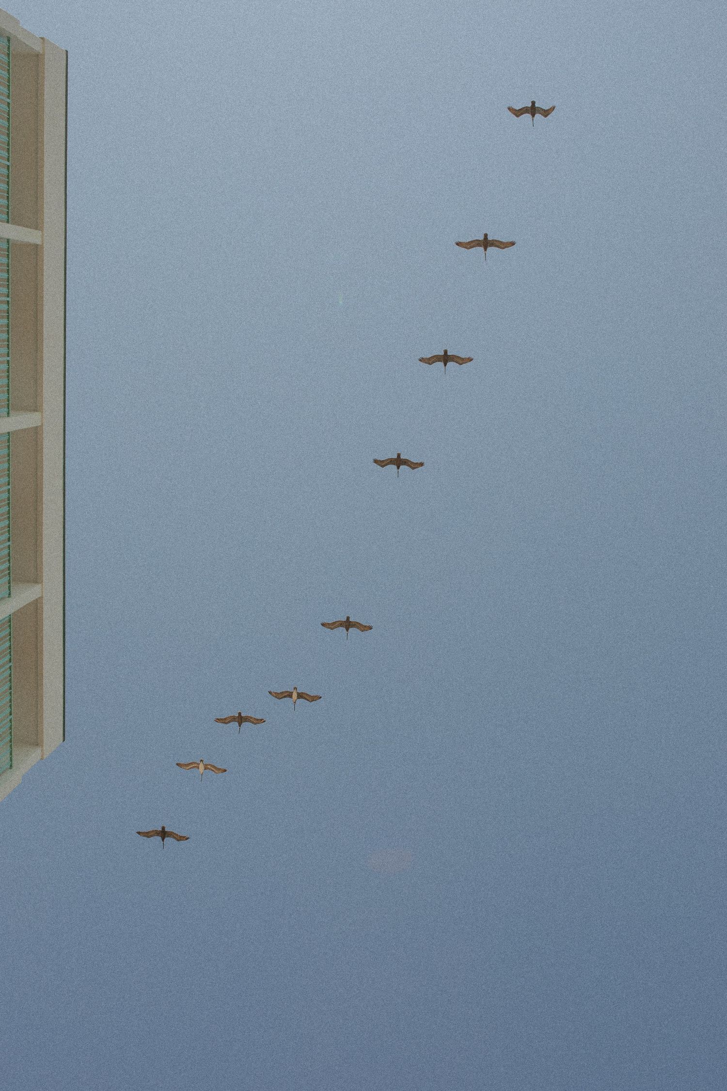 A diagonal formation of military aircraft flying in blue sky near a building.