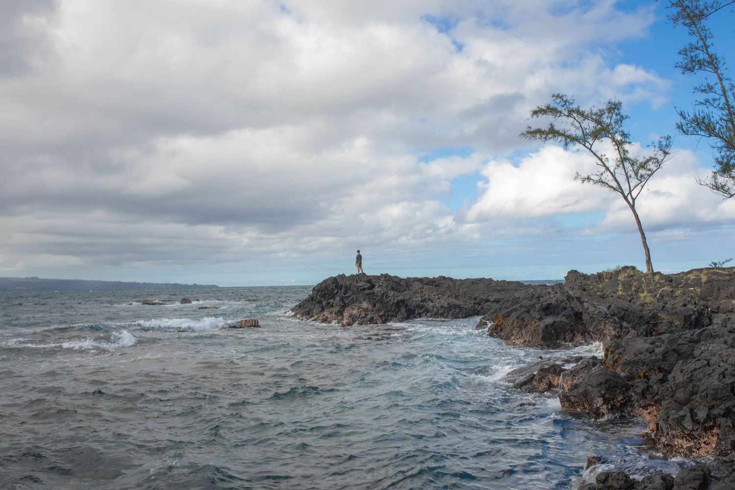 Person stands on rocky coastline overlooking rough ocean waves under cloudy sky with lone tree branch in Hawaii.