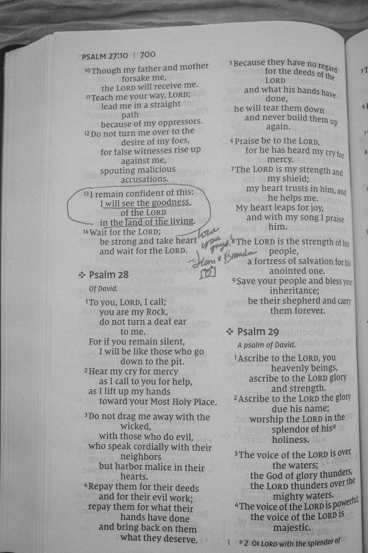 Open Bible showing Psalm 27 and Psalm 29 with handwritten notes and underlined verses on worn pages.