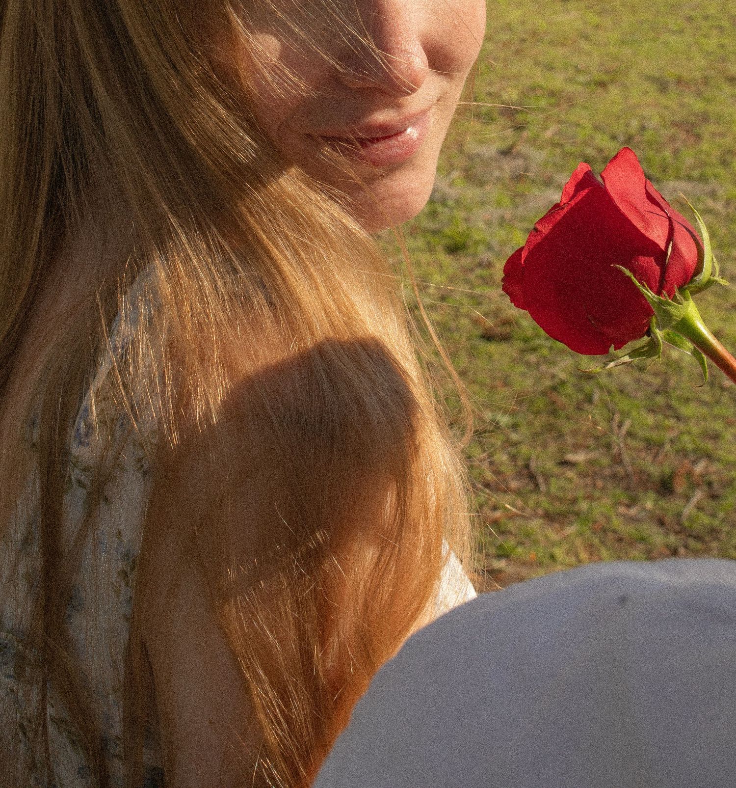 A vibrant red rose blooms in golden sunlight against blonde hair and a soft white background.