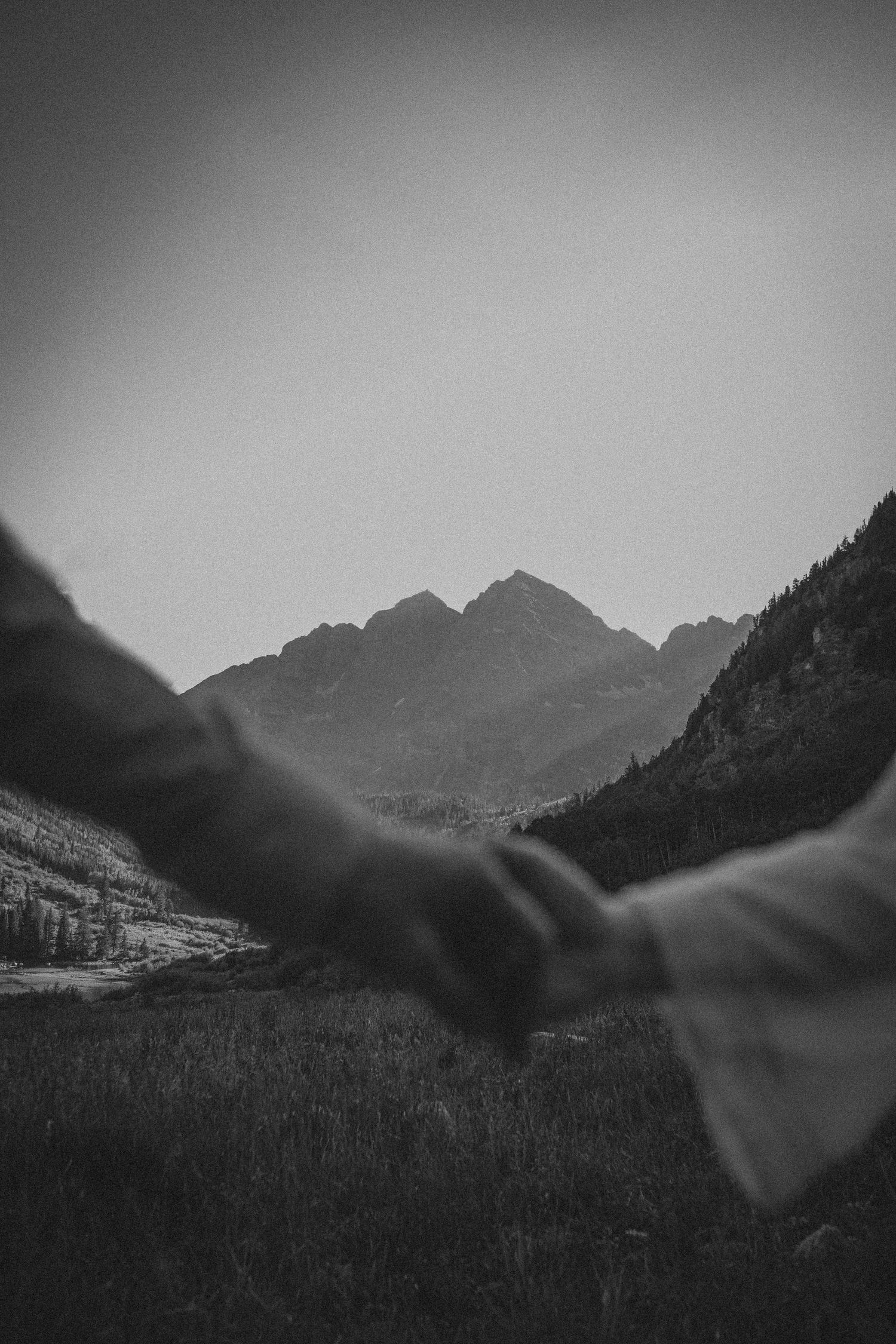Black and white photo of two people holding hands with majestic mountain peaks and forest valley in the background.