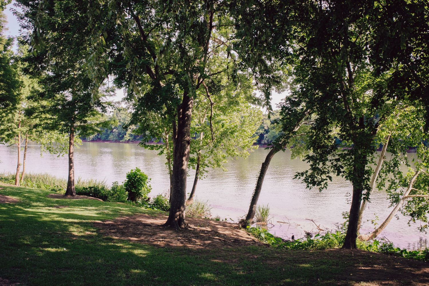 Peaceful waterfront scene with trees casting shadows on a grassy bank.