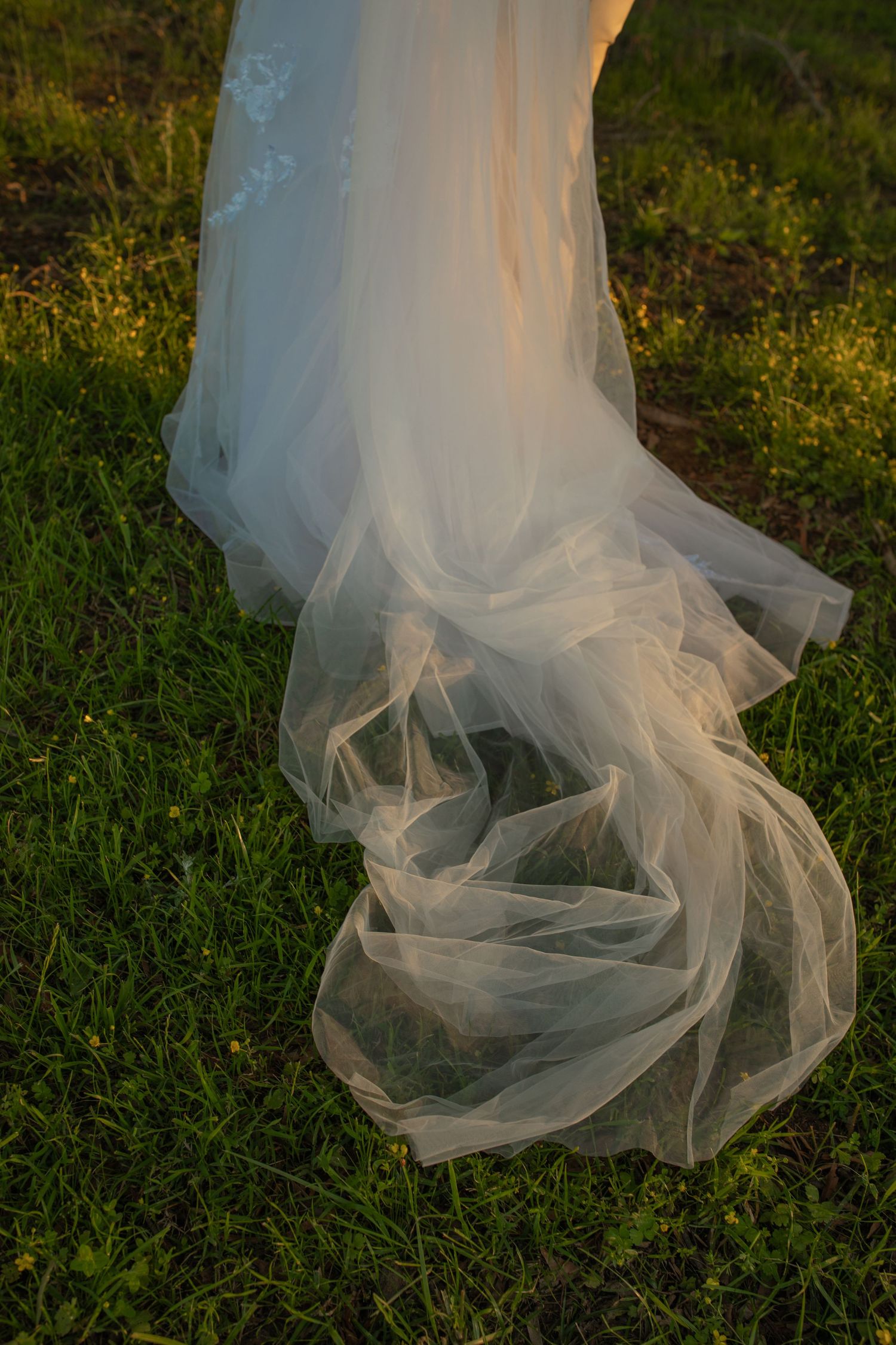 Close-up of a flowing white bridal gown train resting on lush green grass in warm golden hour light.