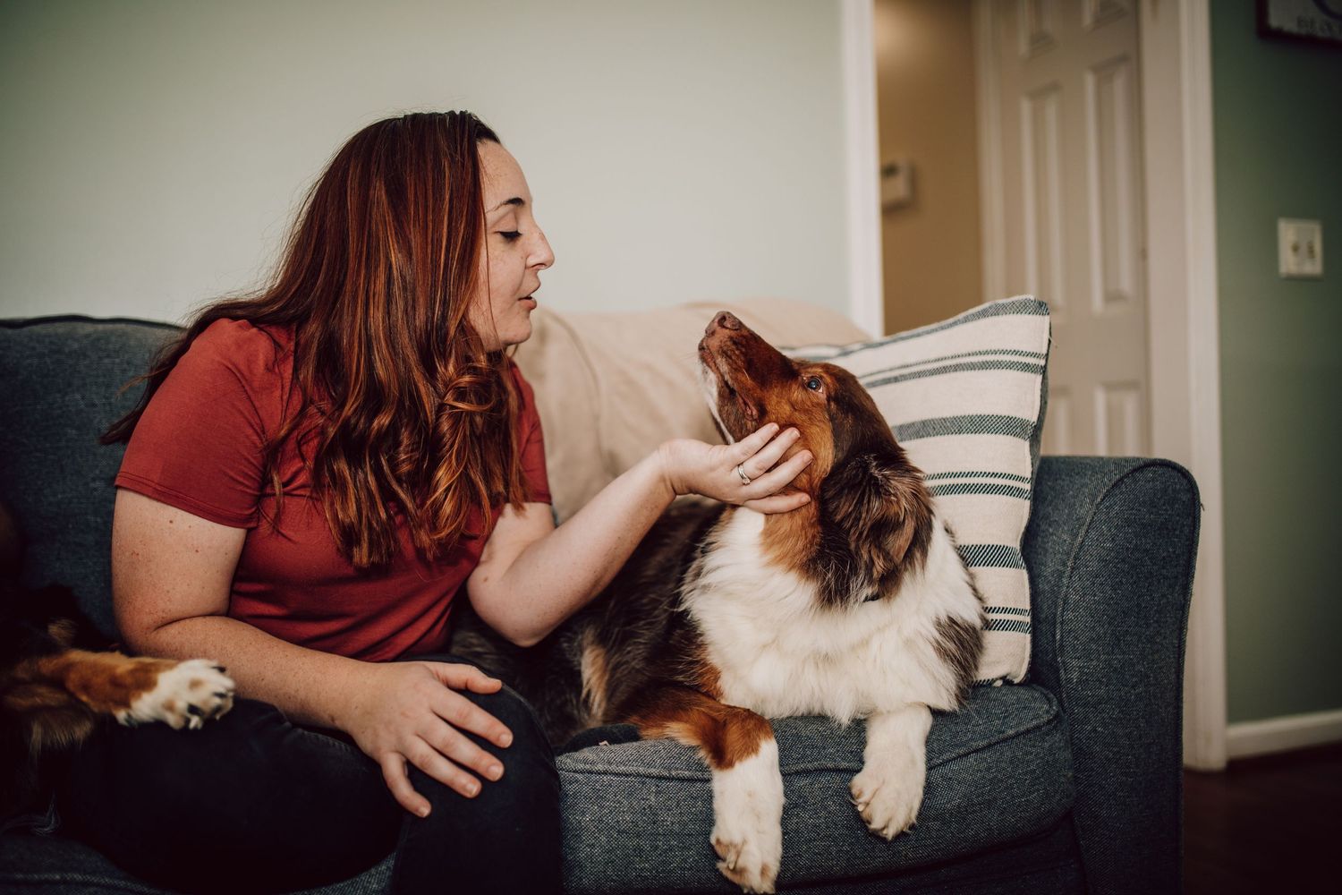 A cozy moment on a gray couch between a person in red and their affectionate brown and white dog.