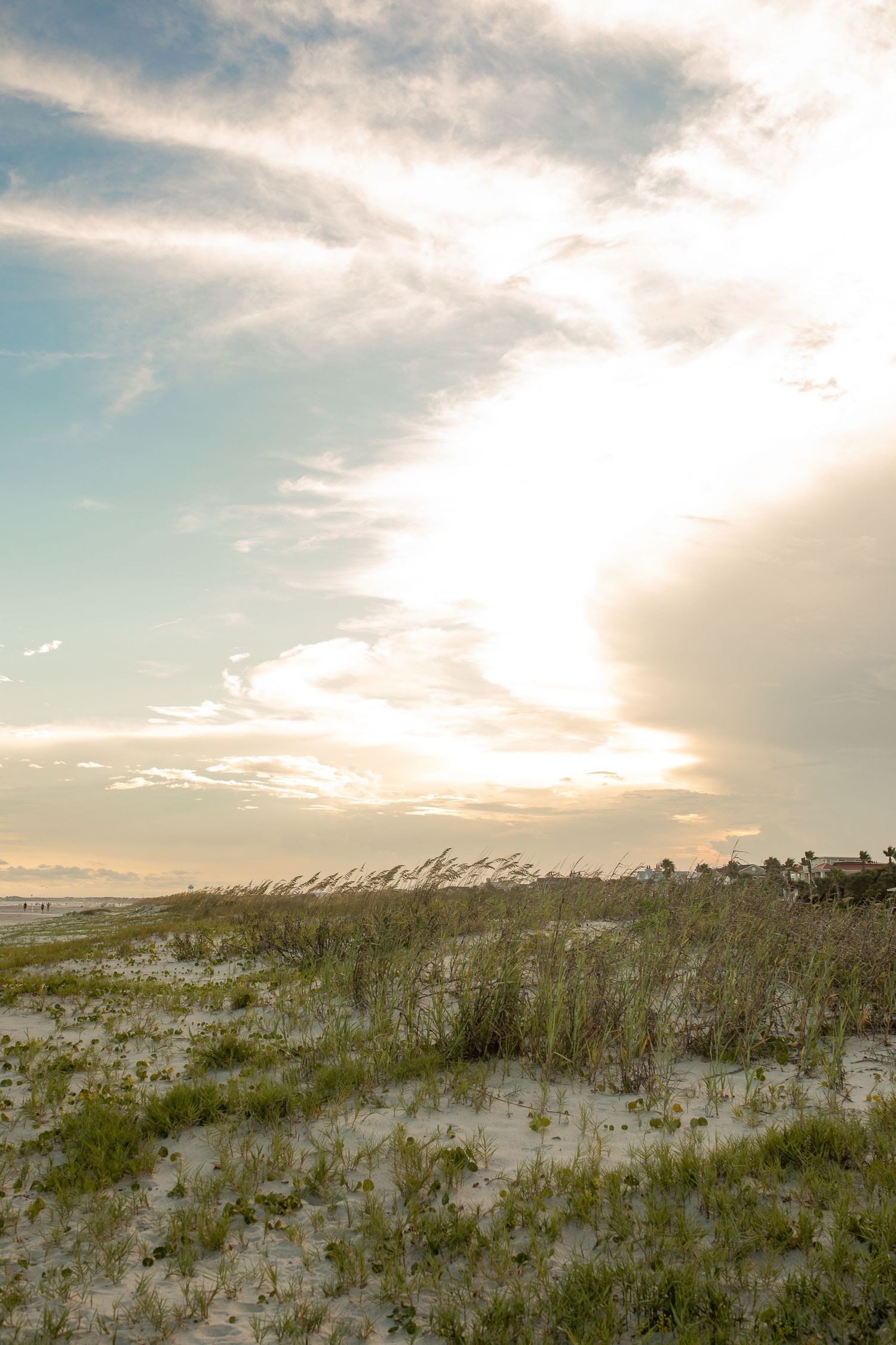 Sea oats and dunes stretch along a beach coastline at sunset with houses in the distance.
