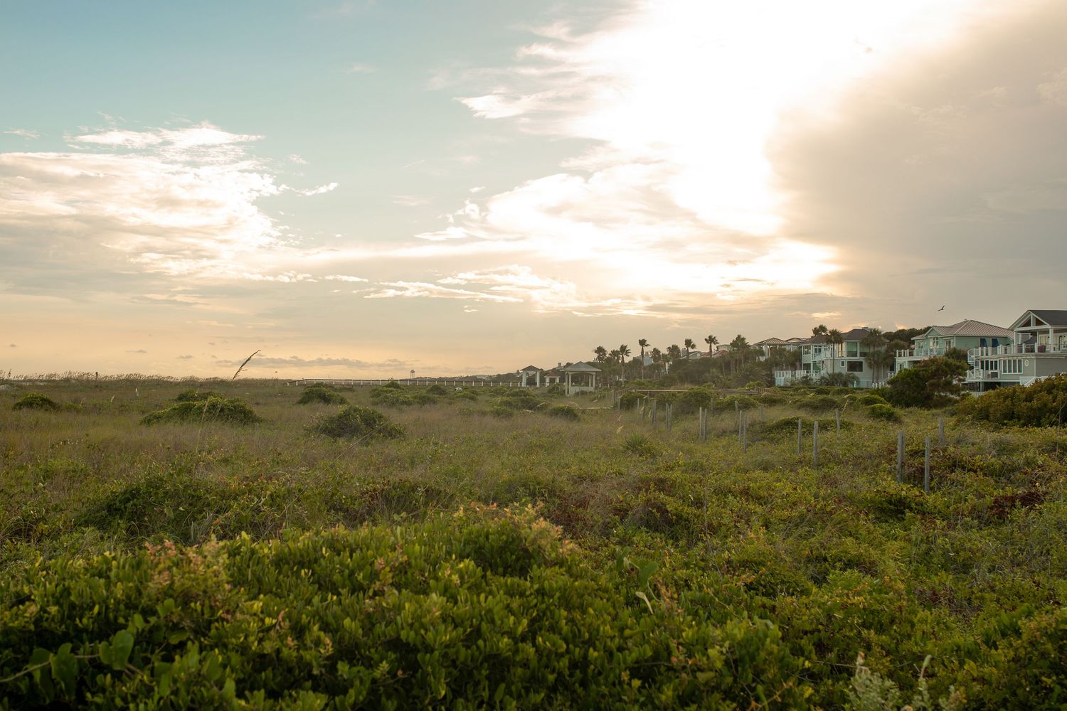 Coastal beach houses overlook green vegetation during golden hour sunset.