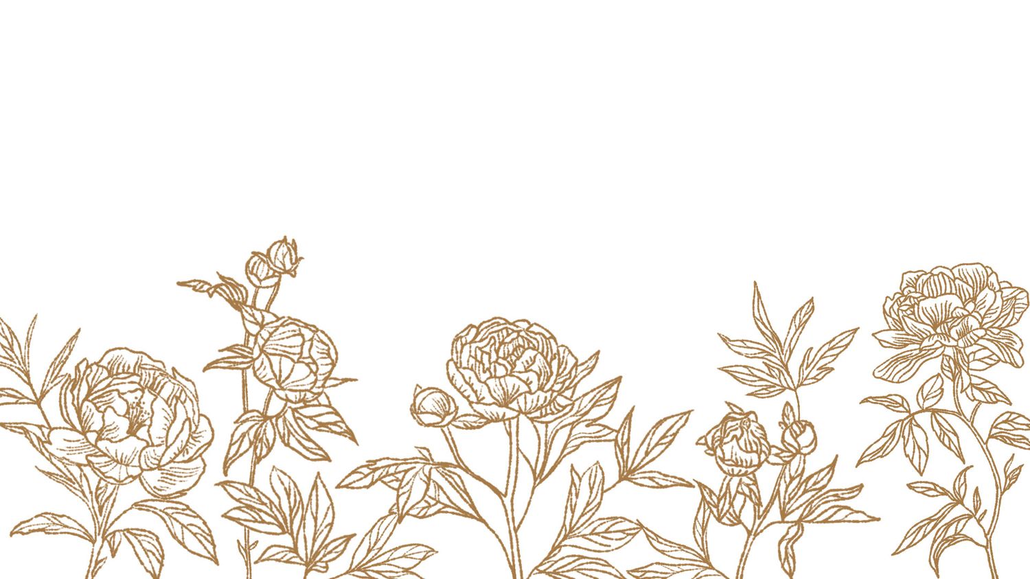 Elegant golden line art illustration of blooming peony flowers and buds on a white background.