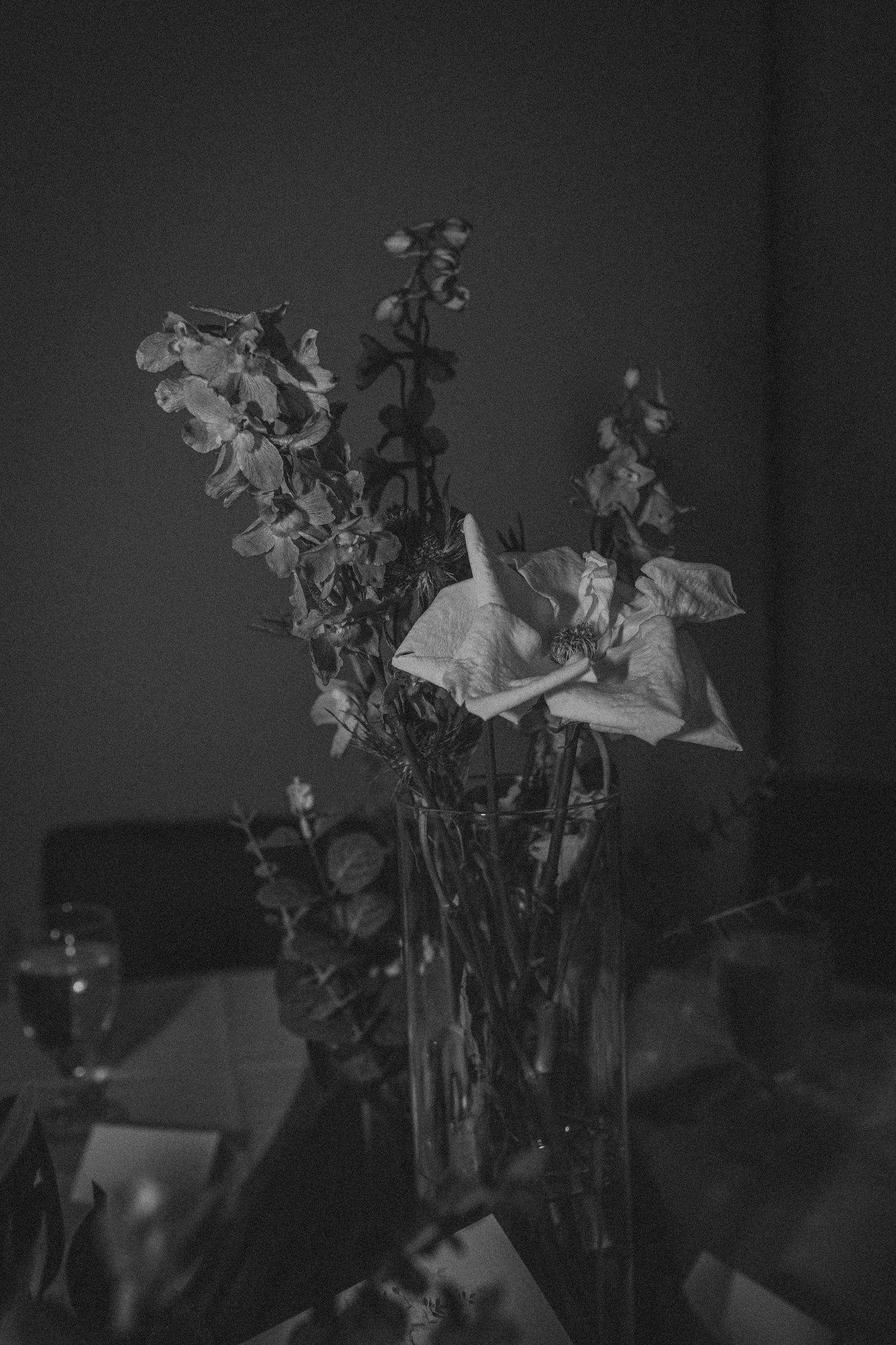 Black and white photo of dried flowers in a glass vase on a dark moody background.