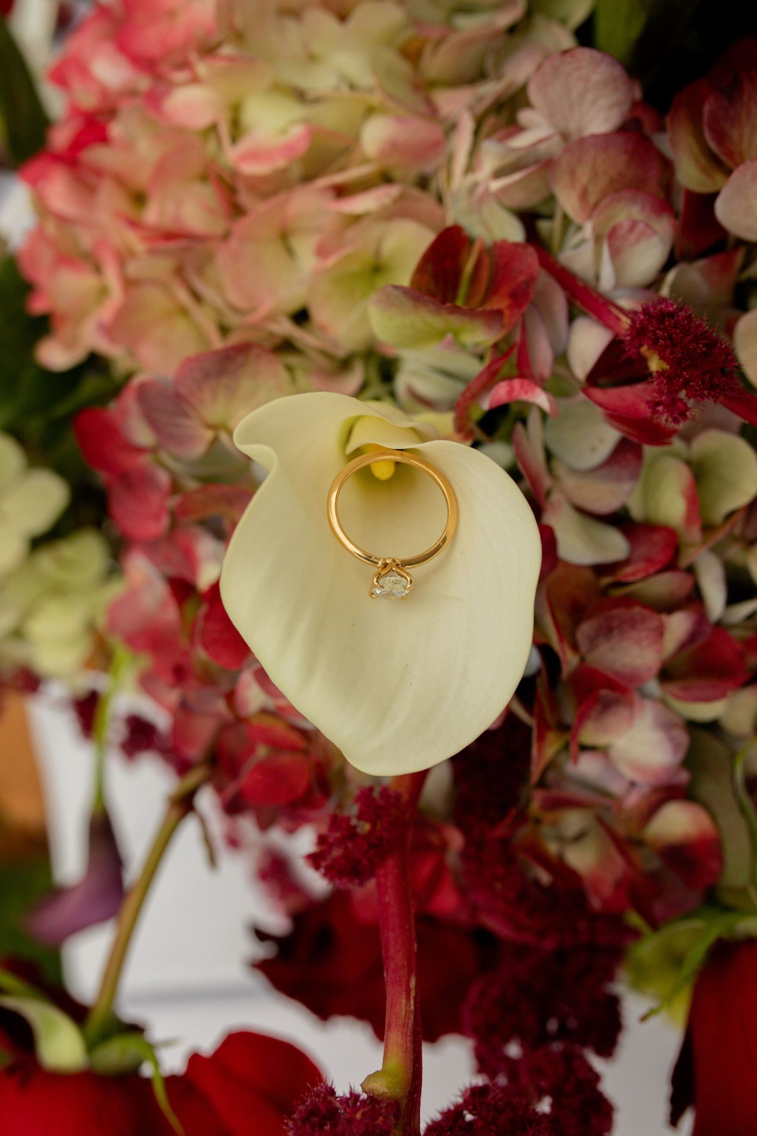 Gold diamond engagement ring resting on a white calla lily surrounded by pink and red hydrangea flowers.