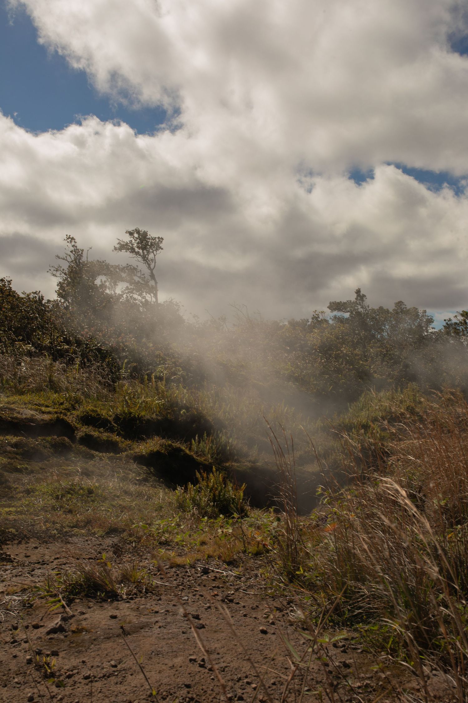 Rocky volcanic terrain with low shrubs and dramatic cloudy skies along Hawaii's Volcanoes National Park trail.