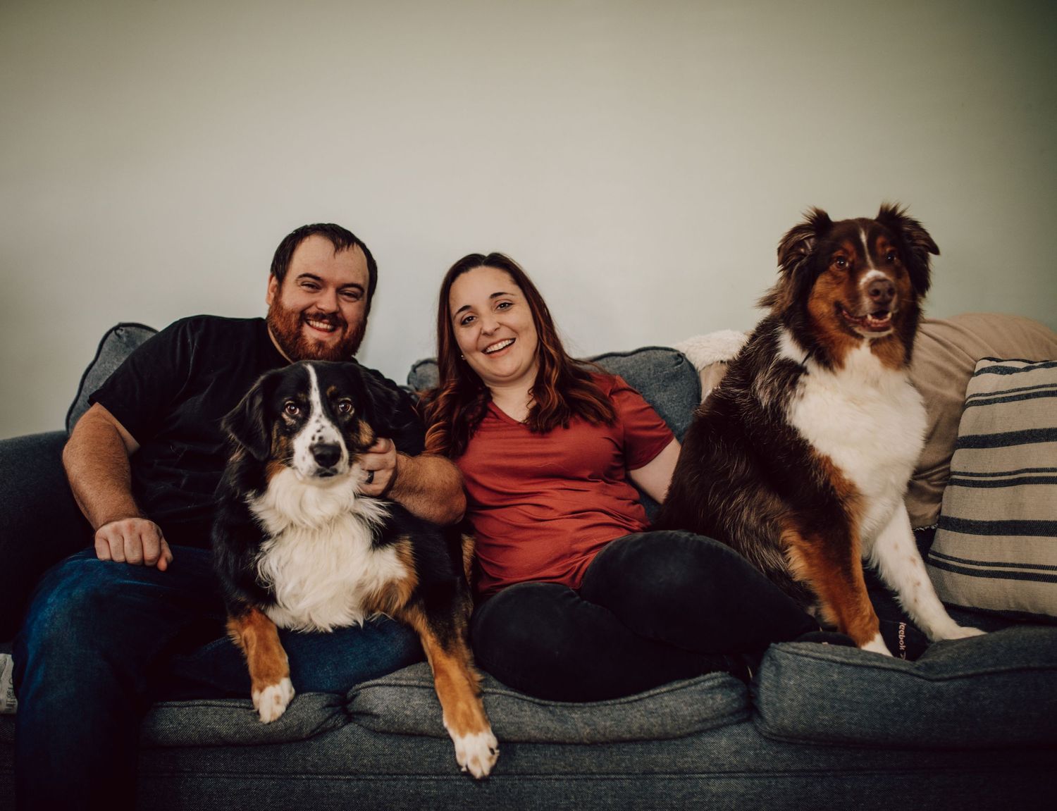 Casual home portrait with two dogs sitting on grey couch in living room.