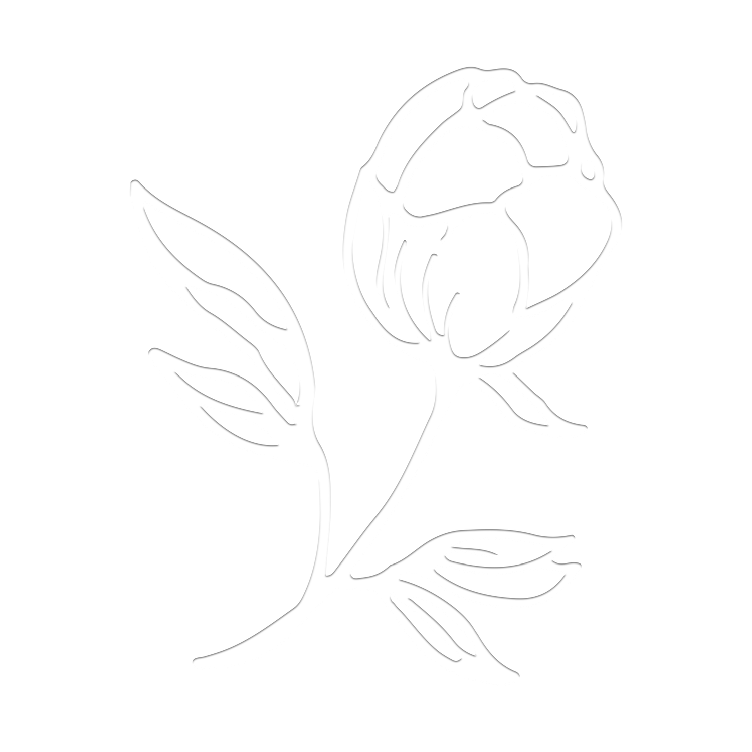 Minimalist line art illustration of a blooming peony flower with leaves on a white background.
