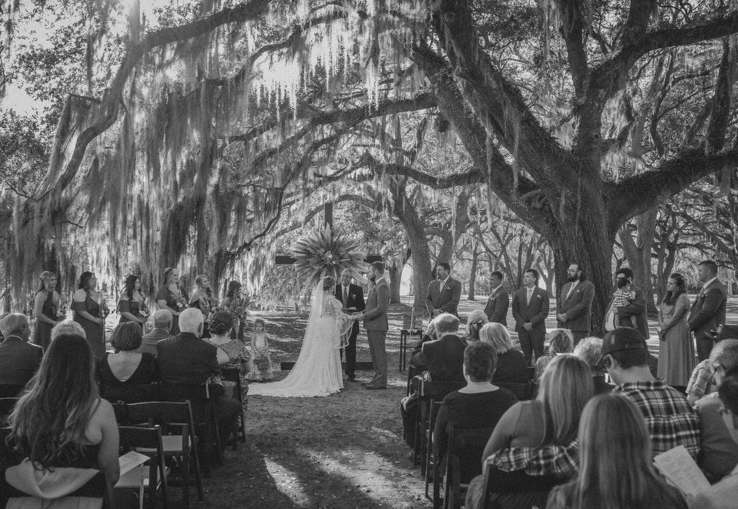 A black and white wedding ceremony under Spanish moss-draped oak trees with guests seated on wooden chairs.