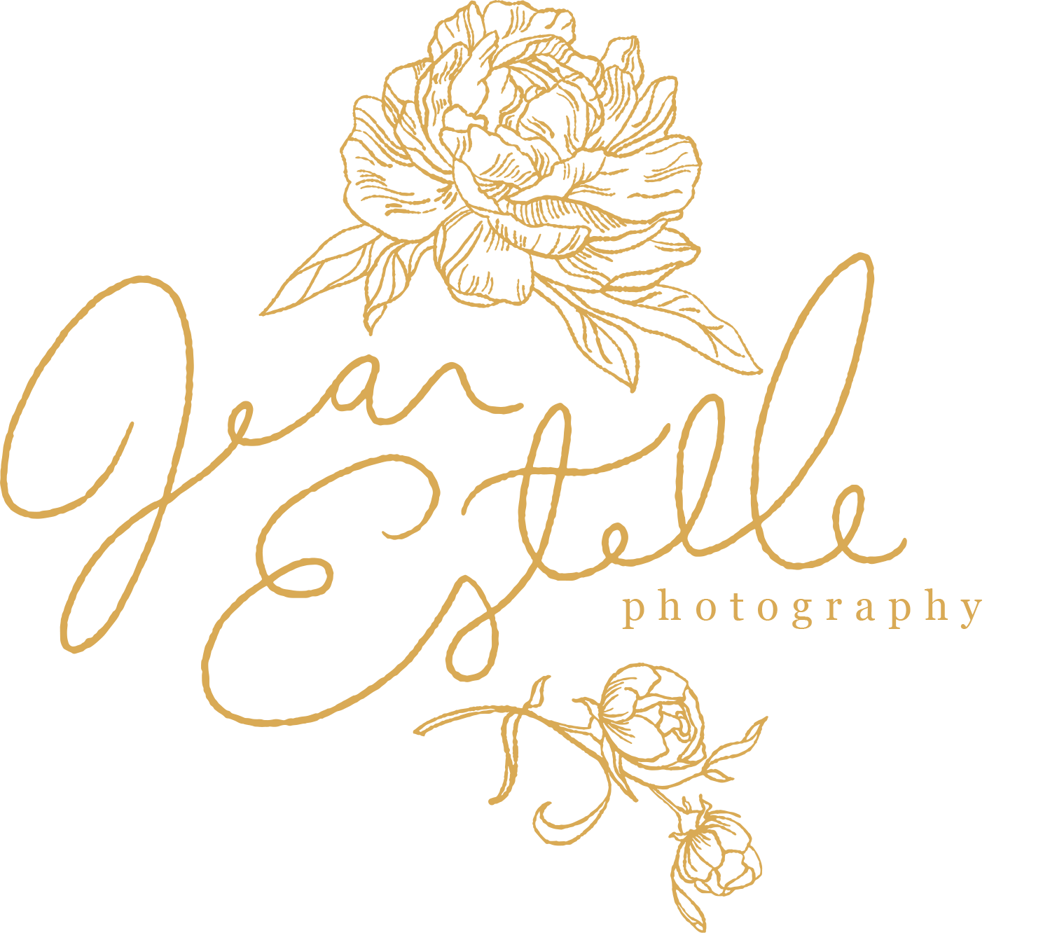 Gold floral photography logo design with calligraphic text and decorative rose elements on black background.