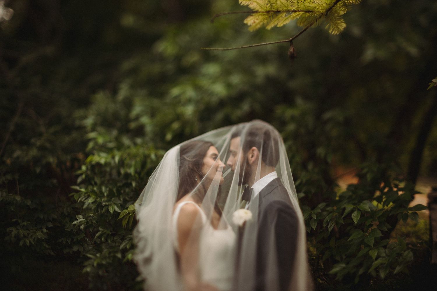 A couple embraces under a flowing white veil in a lush garden setting during their romantic wedding photo session.