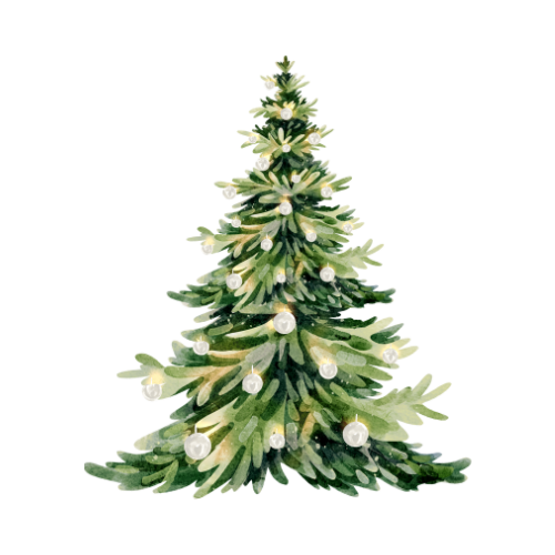 Watercolor illustration of three evergreen pine trees in varying sizes with snow-covered branches.
