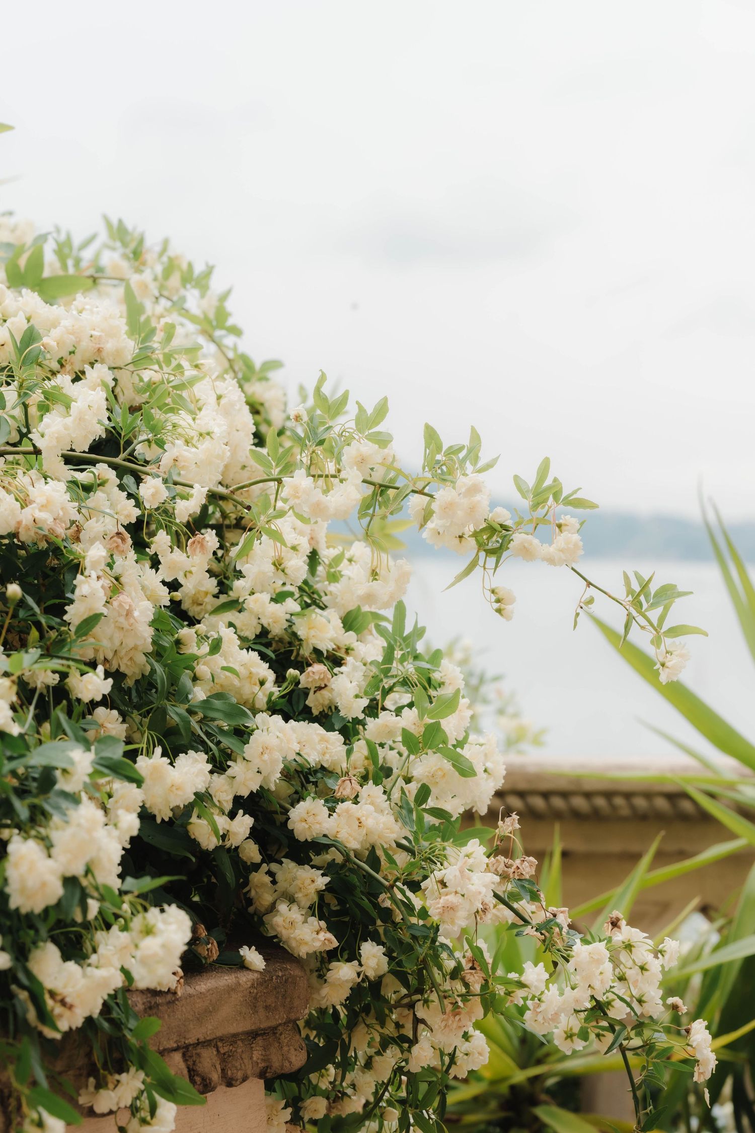 Zara Davis Wedding Photography flowers on Lake Garda in April Italy