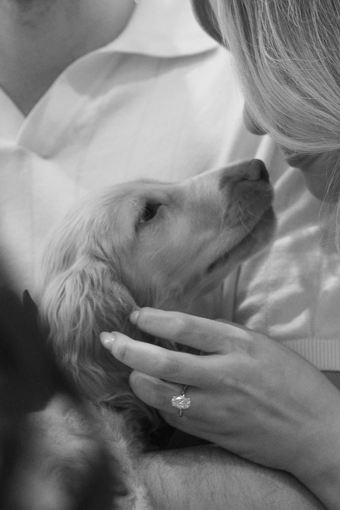 Black and white close-up of a woman with a diamond engagement ring gently petting a golden puppy in her arms.