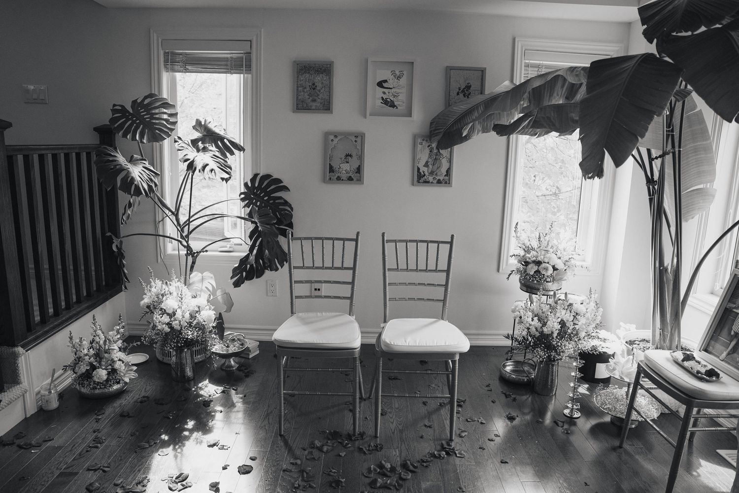 Black and white photo of an indoor wedding ceremony setup with two chairs, scattered petals, flower arrangements, and tropical plants.
